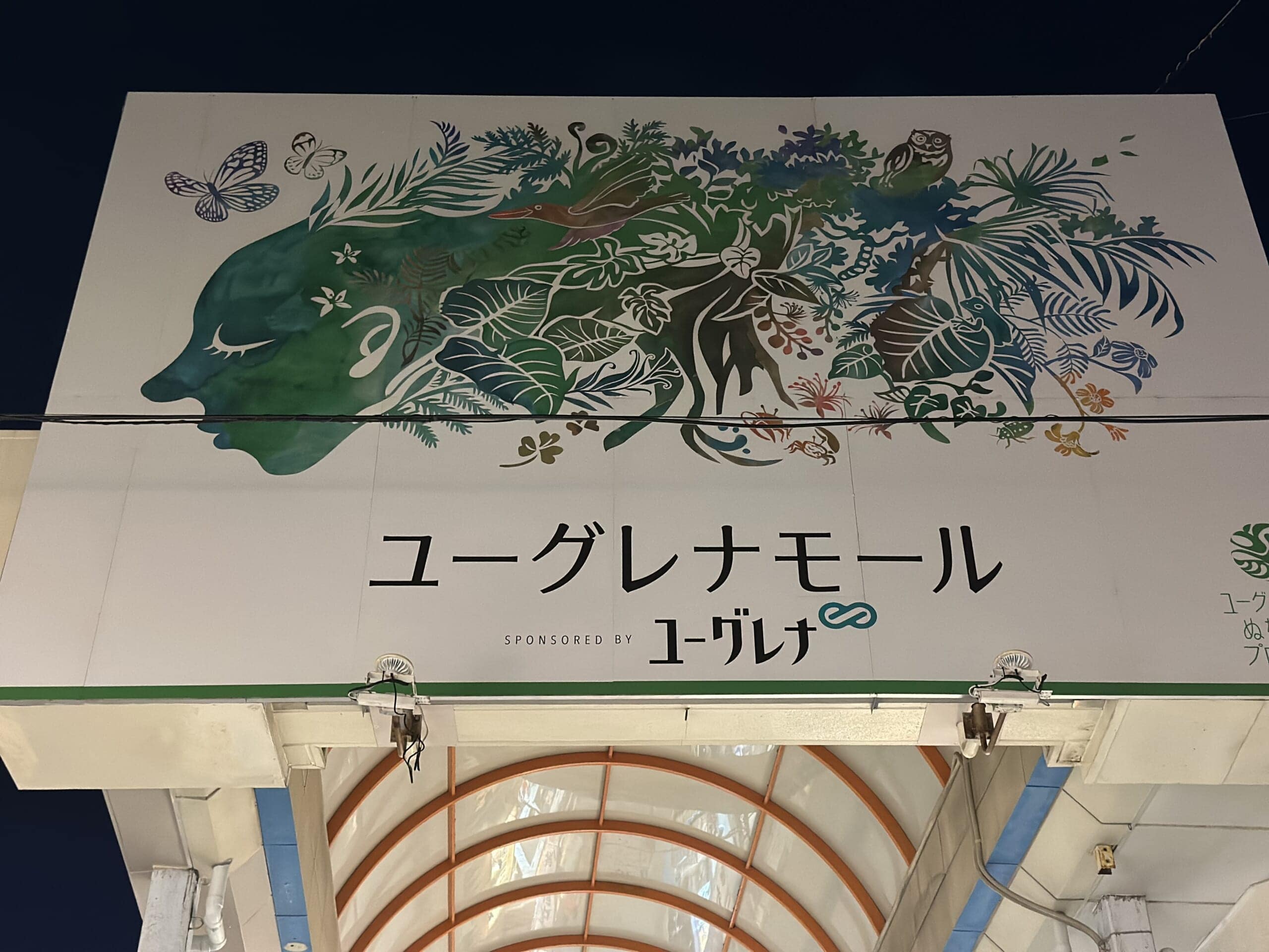 石垣島　ユーグレナモール　買い物