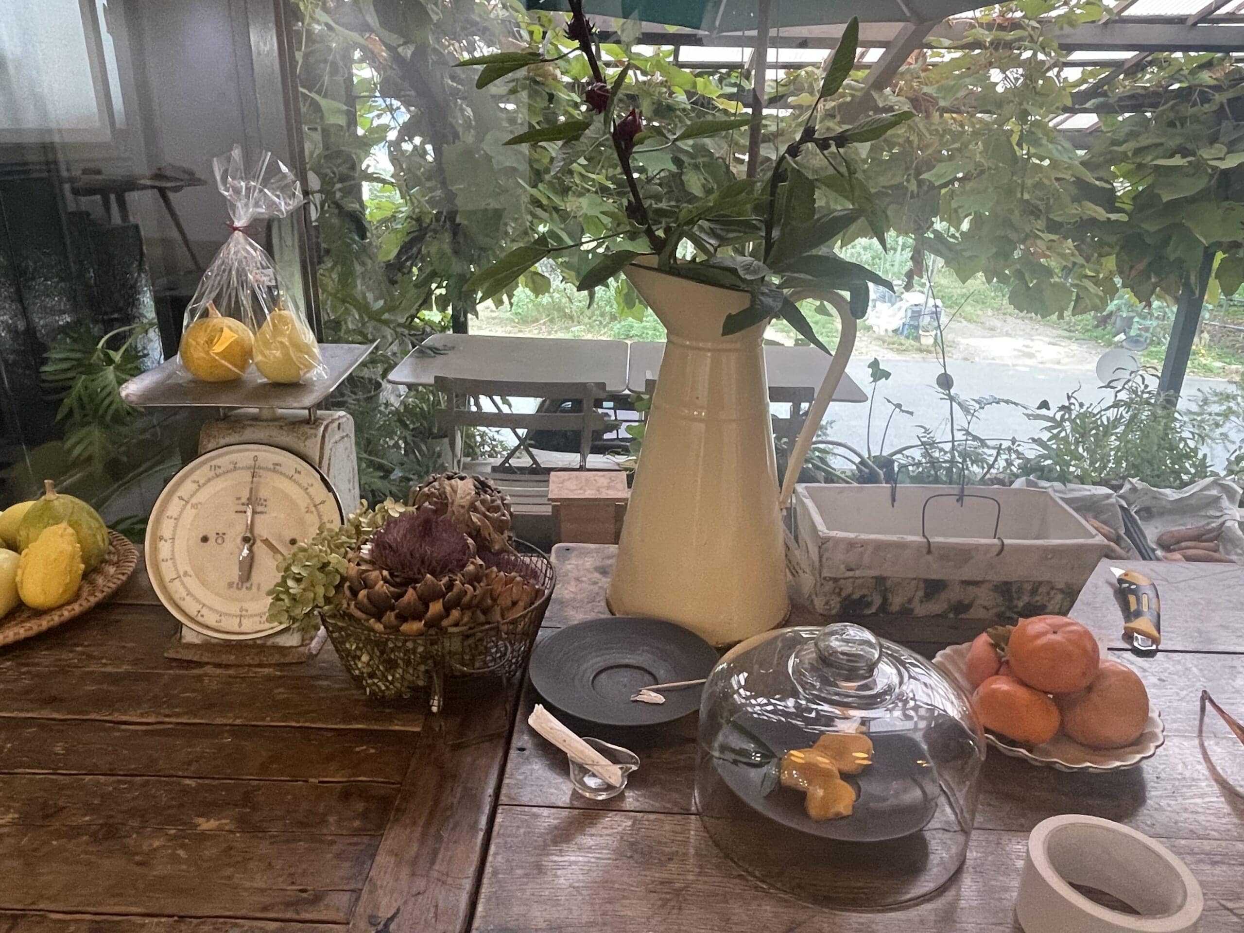 JIKE STUDIO軒先で売られている柿やかぼちゃなど