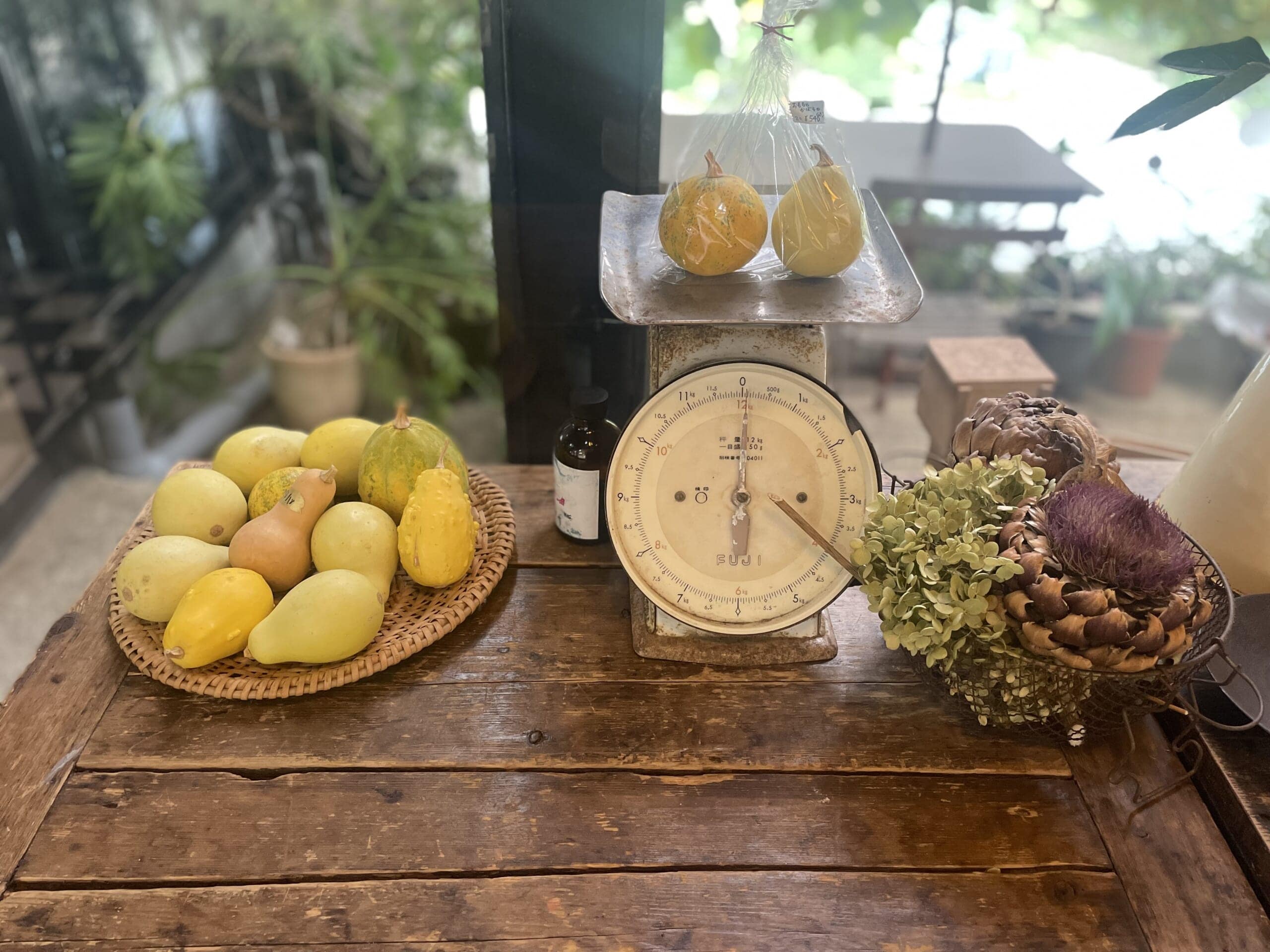 JIKE STUDIOでのかぼちゃの販売