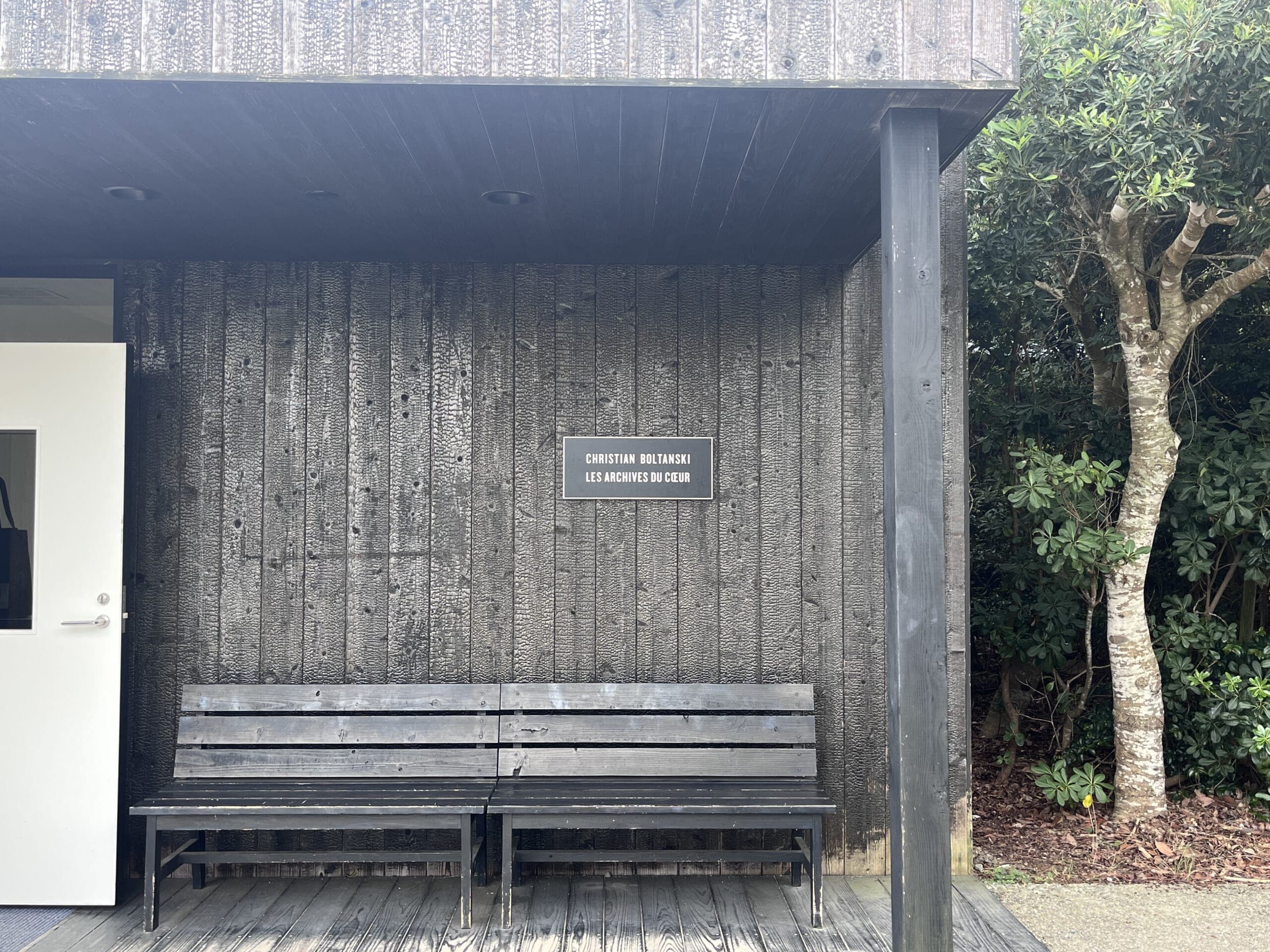 心臓のアーカイブ