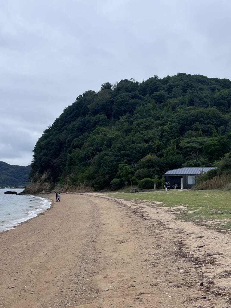 心臓のアーカイブ