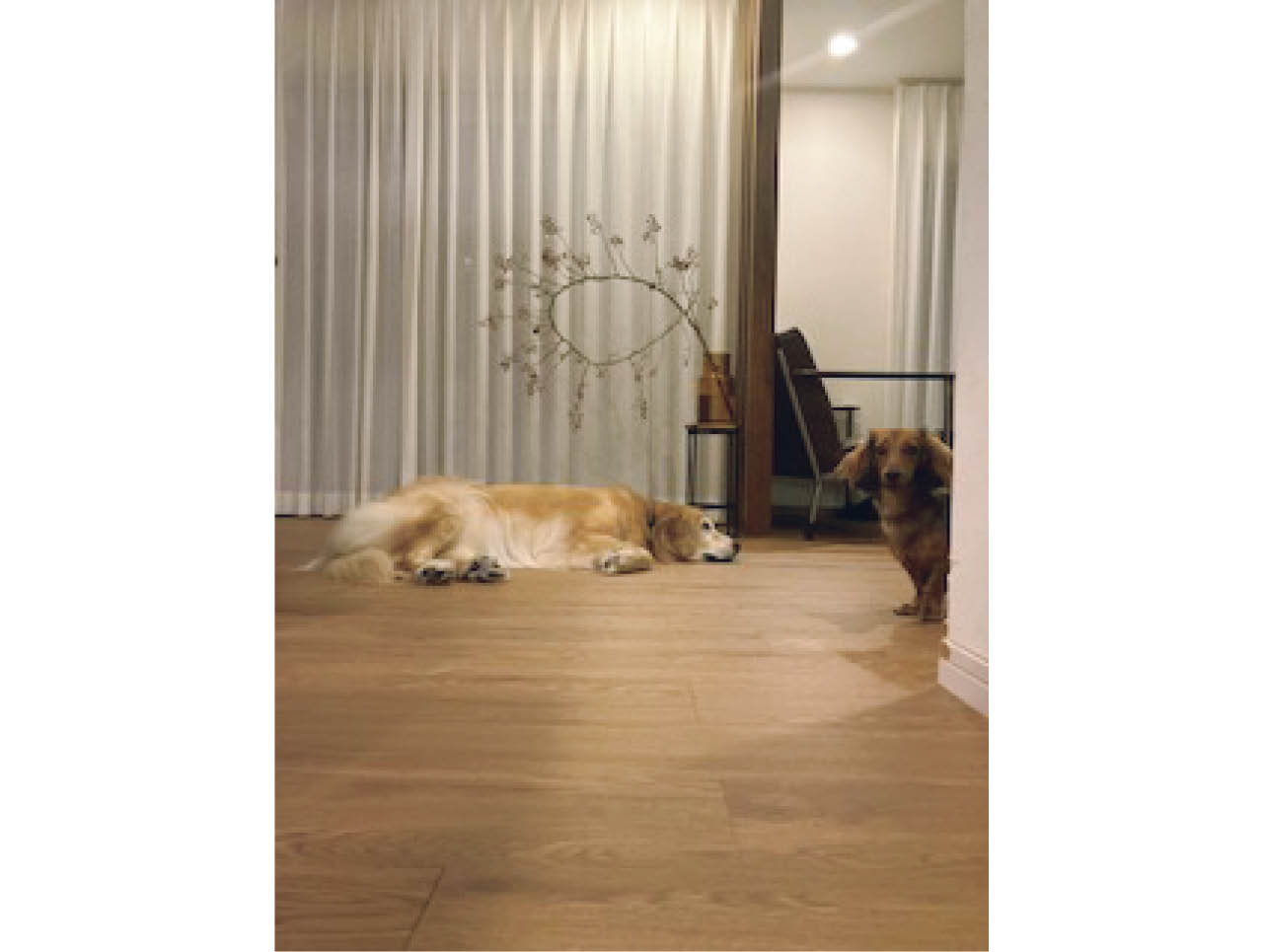 「夫がリビング全面を、滑りにくいフローリングに張り替えました。愛ですね（笑）」 