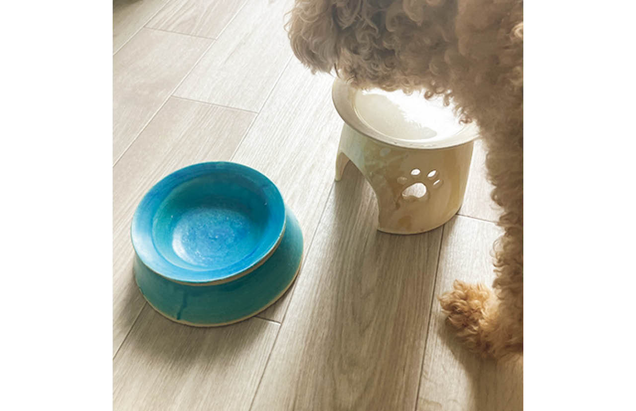 陶芸好きの夫が、水飲みとごはん用のお皿を作陶。