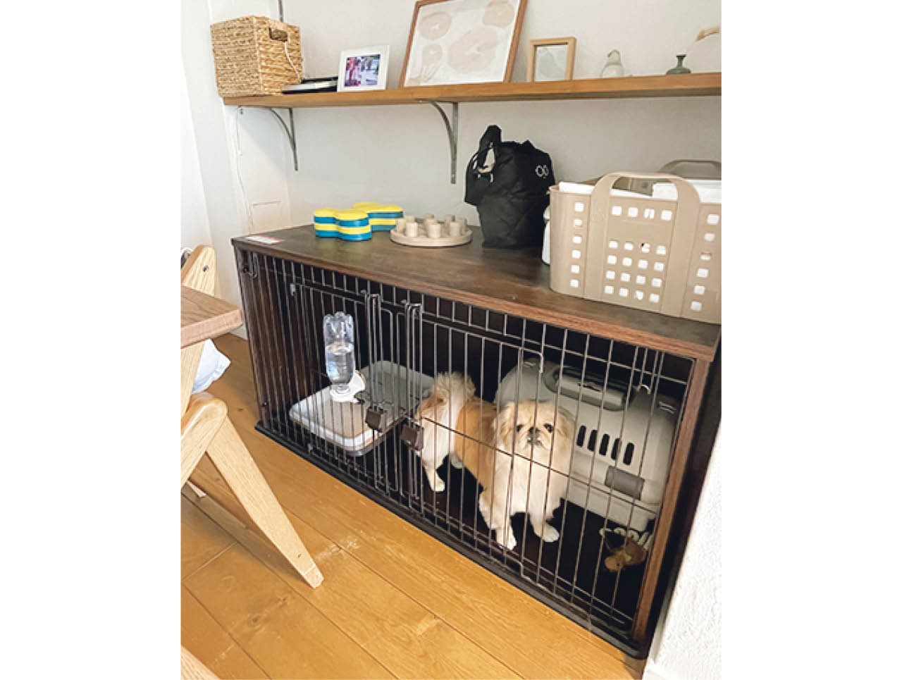 犬は暗くて狭い場所が落ち着くと聞き、屋根付きの室内用ケージをセット。