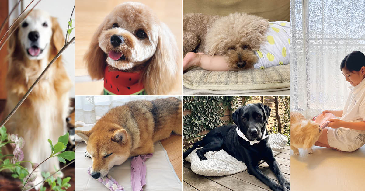 LEE100人隊も「犬と暮らして、ここがよかった！」