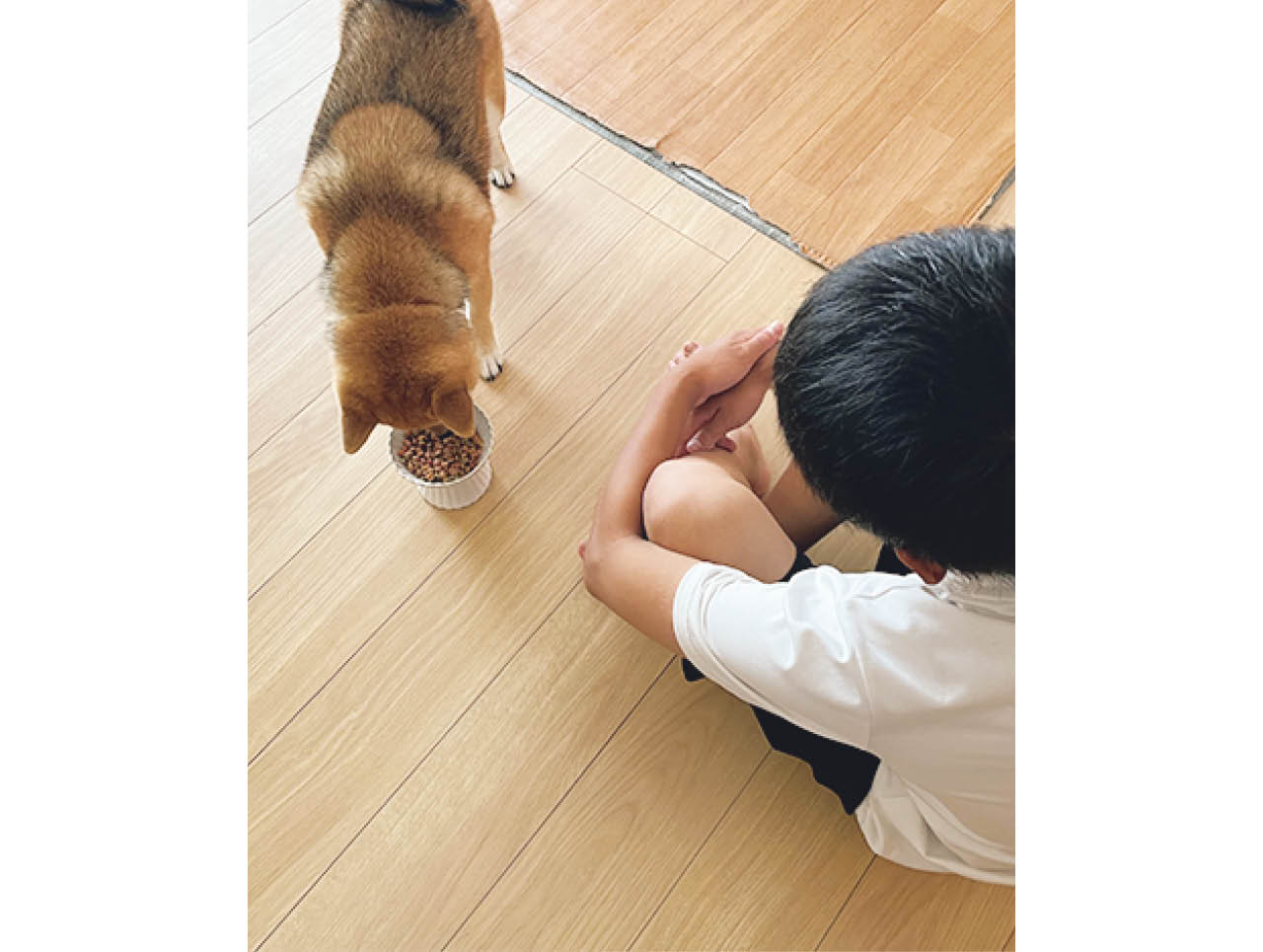 「長男は家にいる間、ごはんをあげるなど、犬のお世話には積極的です」