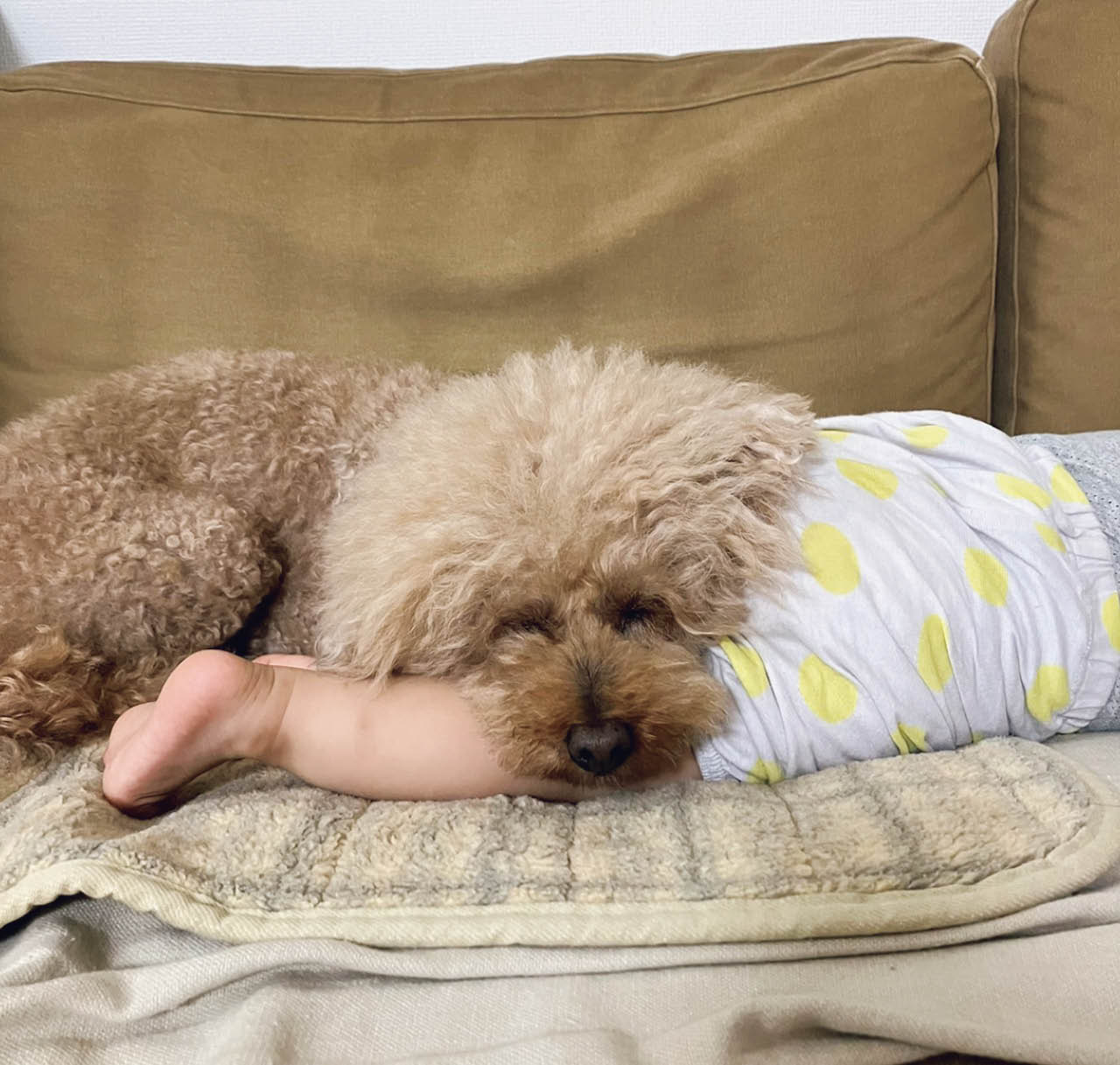 息子が生まれてからは、私よりも息子にべったり。