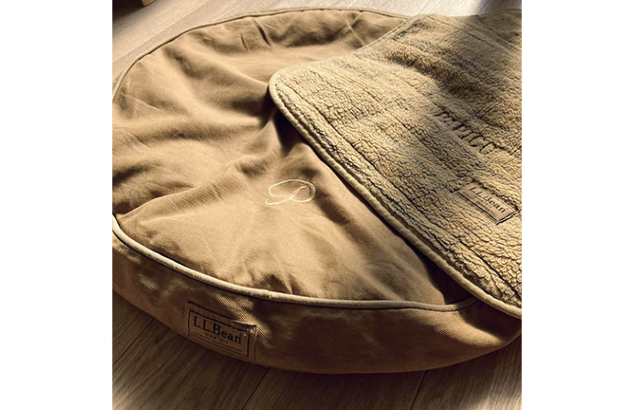 「L.L.Bean」の犬用マットはイニシャル入りで10年以上愛用。