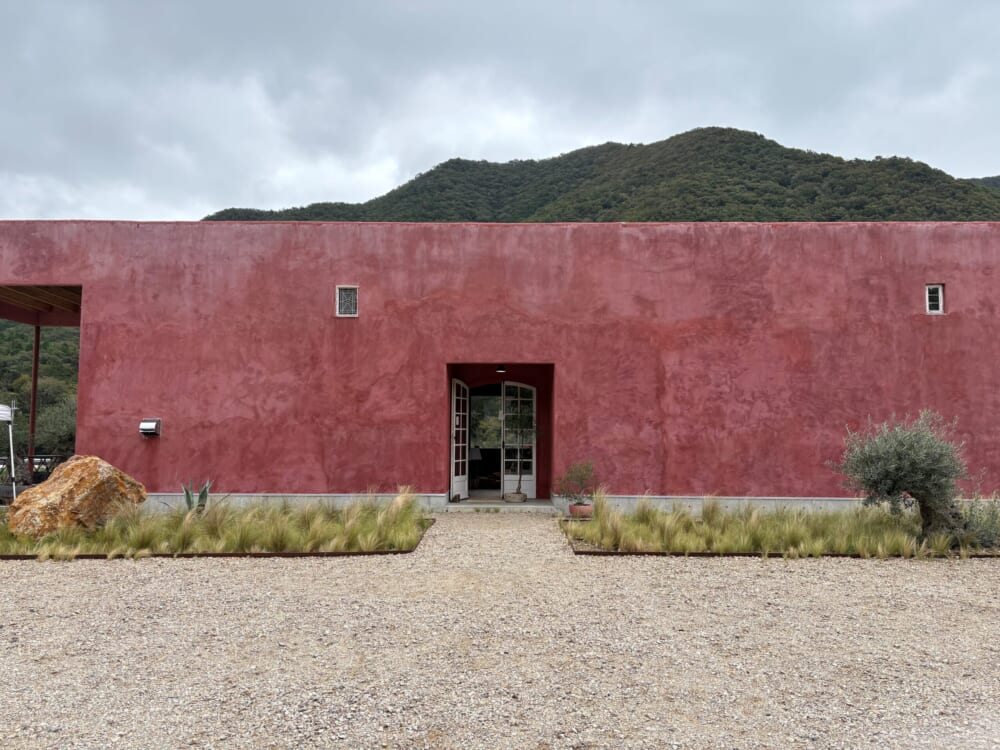 丹波篠山　植物　カフェ