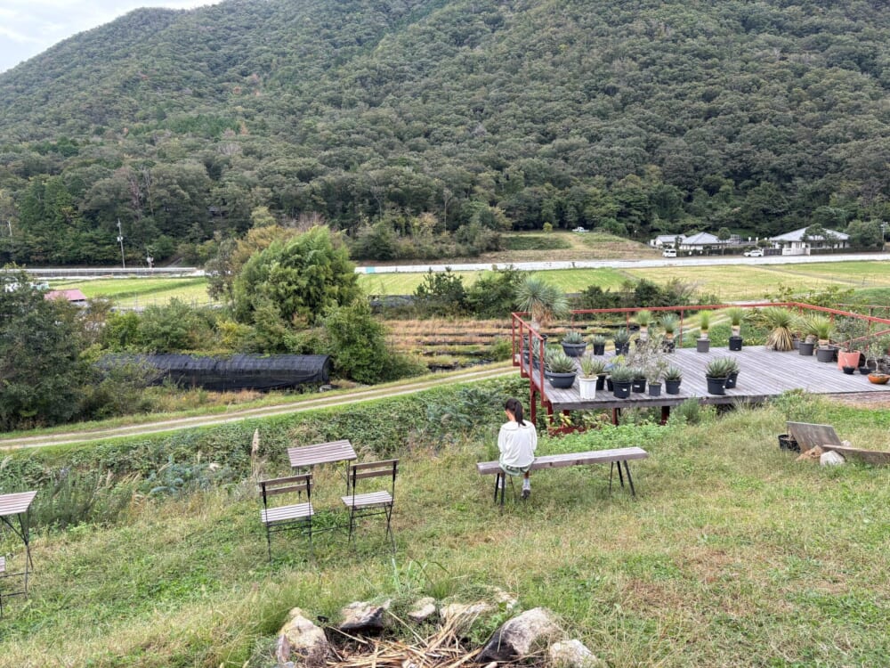 丹波篠山　植物　カフェ