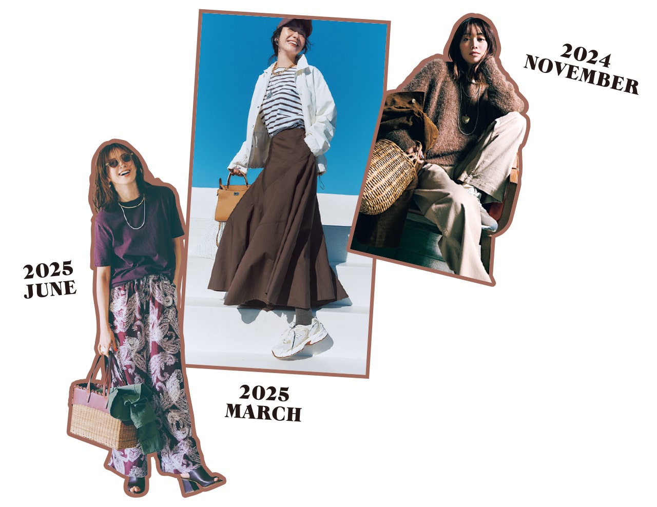 過去のブラウン特集写真