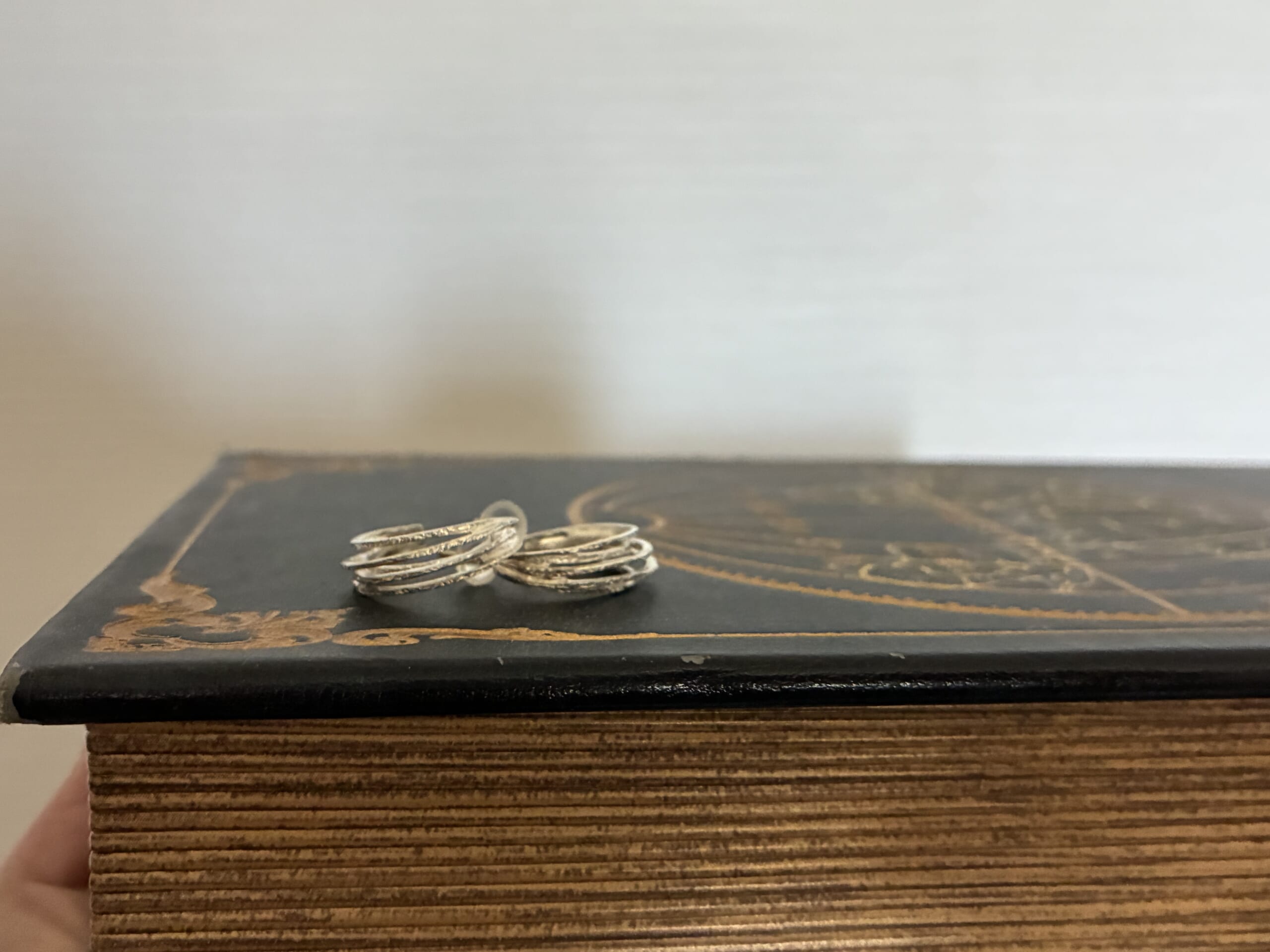 KAORU】シルバーピアスを購入しました！ | LEE