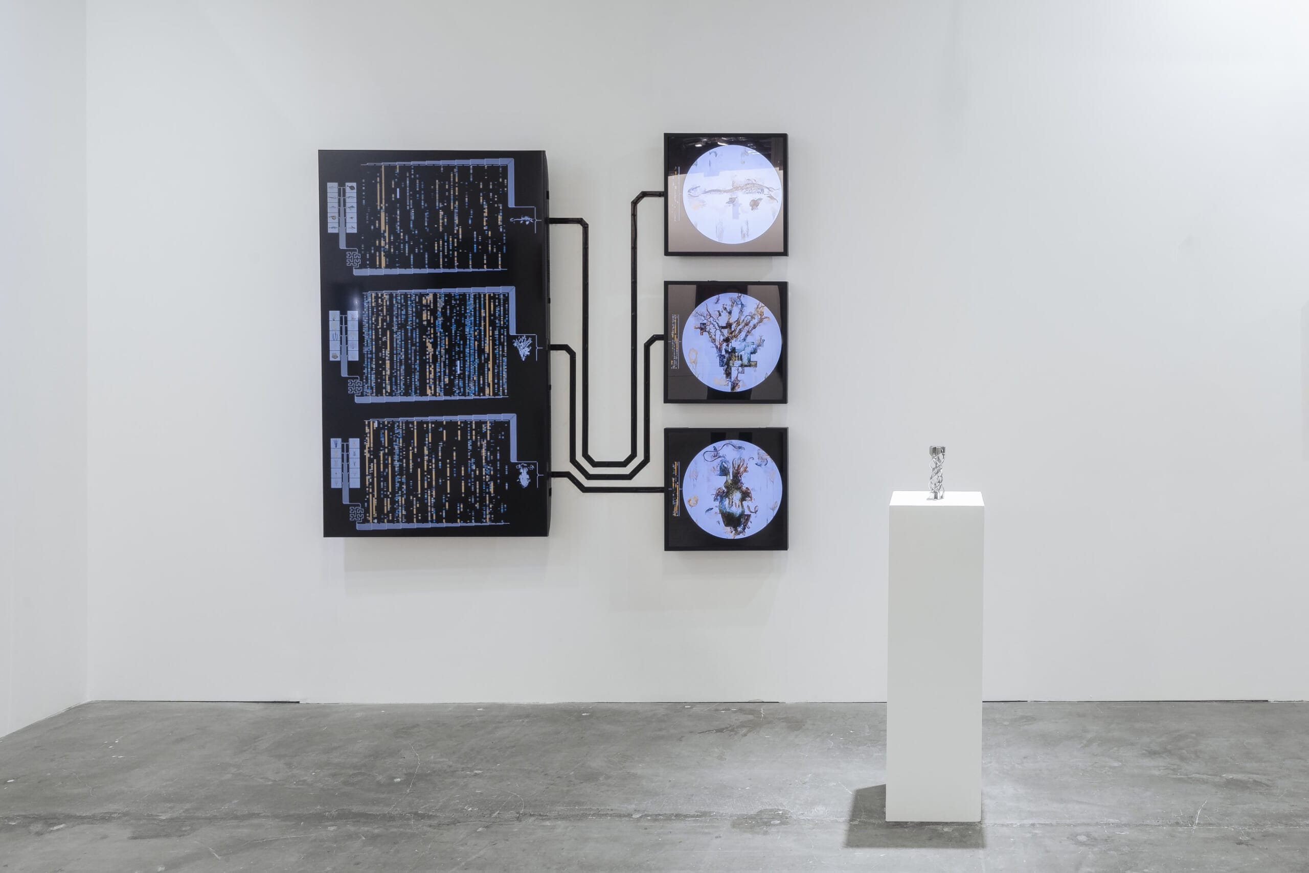 展覧会名:シャネル・ネクサス・ホールで2025/10/4(土)~12/7(日)行われる展覧会「Synthetic Natures もつれあう世界:AIと生命の現在地」