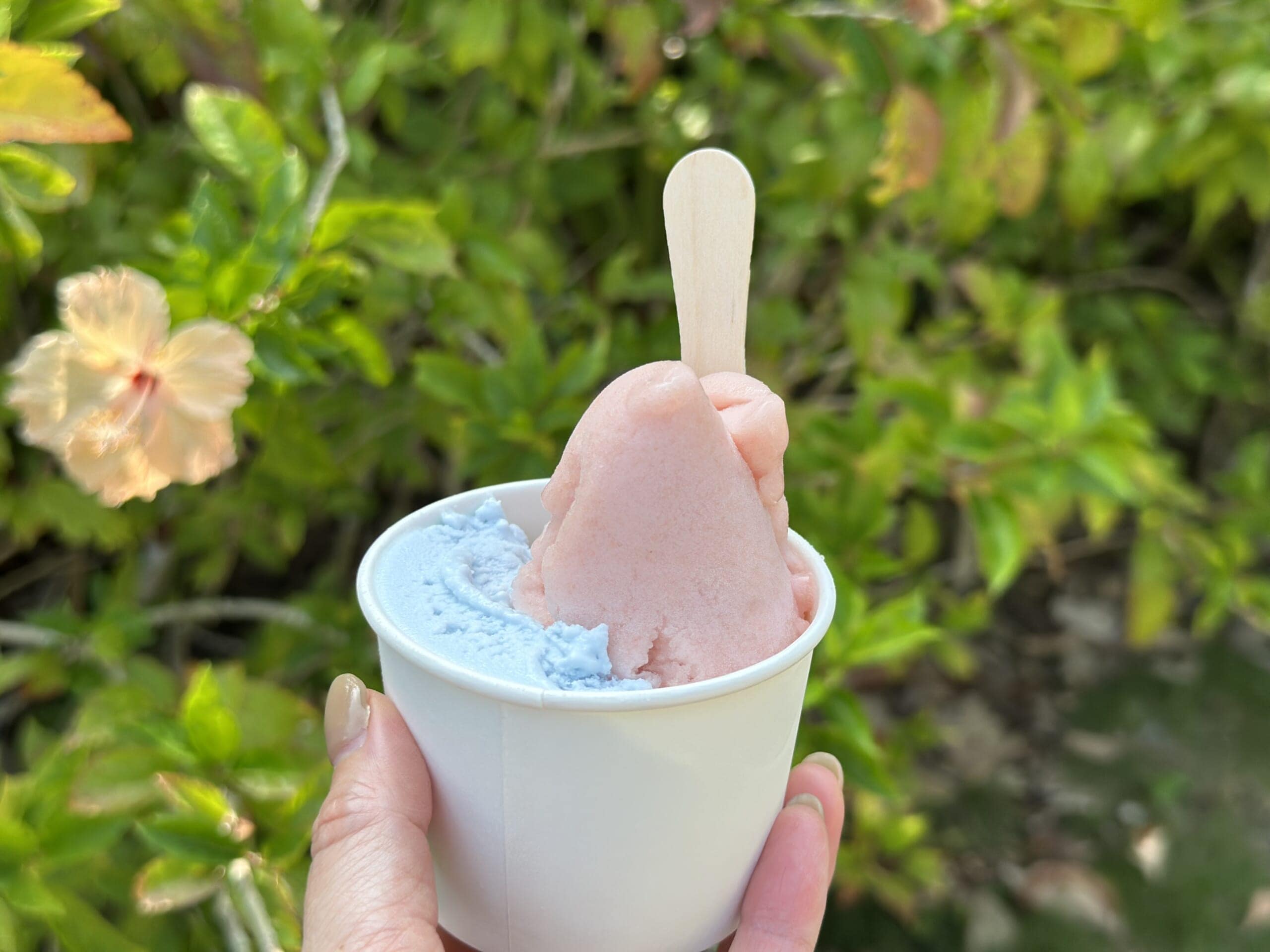 由布島　ジェラート　カフェ