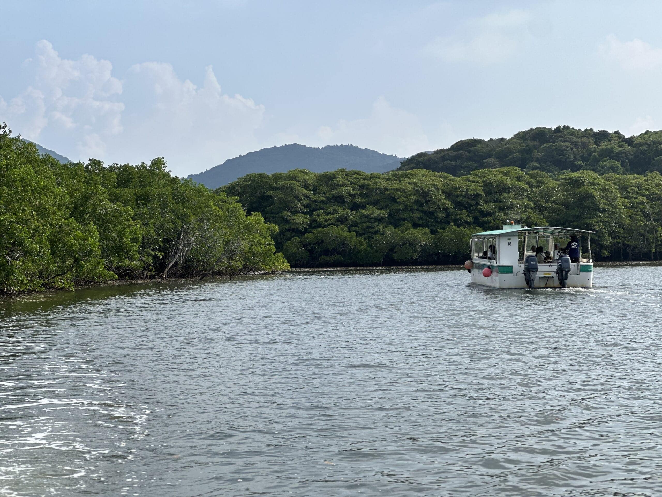西表島　マングローブクルーズ　ツアー