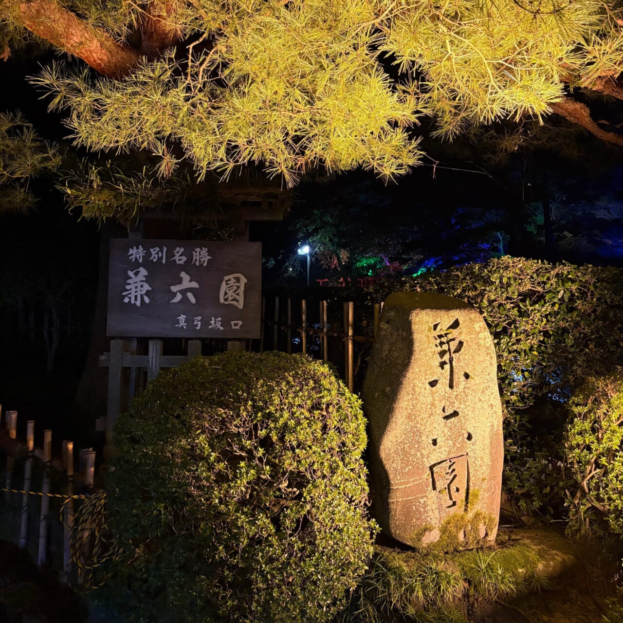 金沢観光 兼六園 ライトアップ