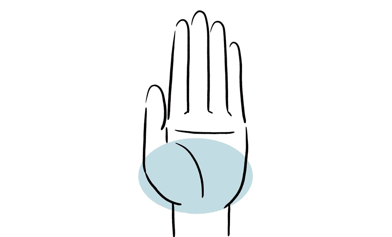  使うのは手のひらのこの部分 ...下半分