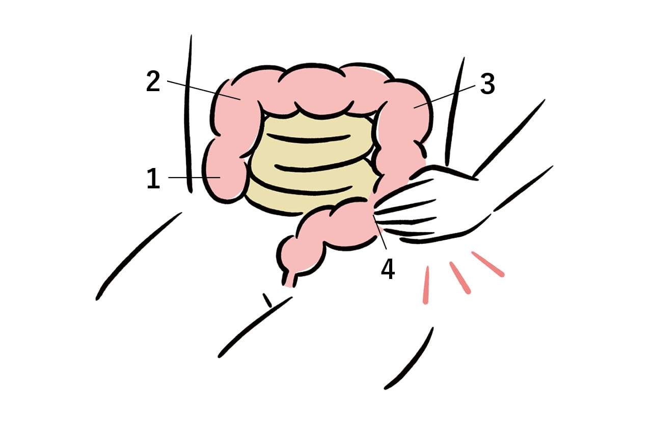 （自分から見て）
1...腸の右下
2...腸の右上
3...腸の左上
4...腸の左下