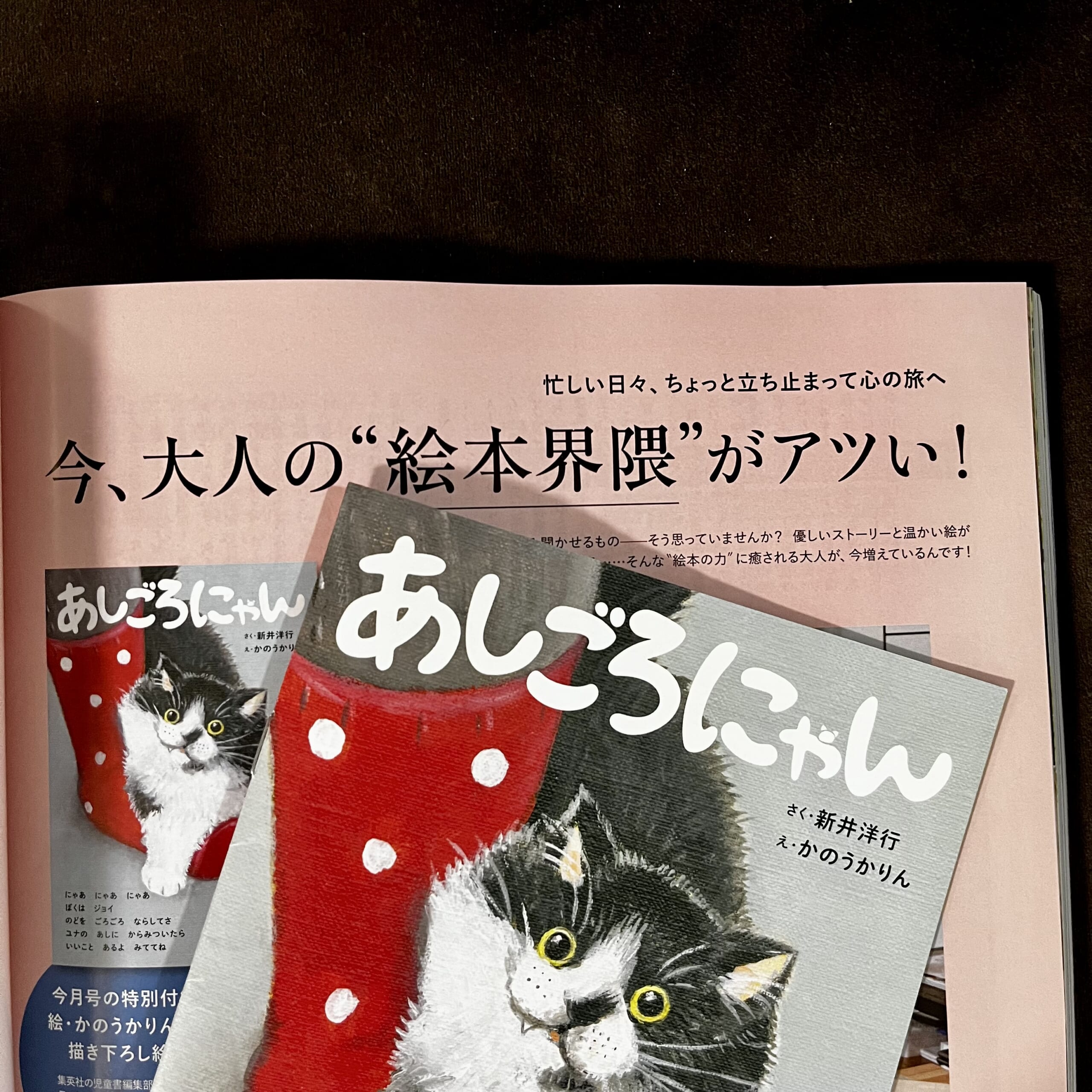 雑誌