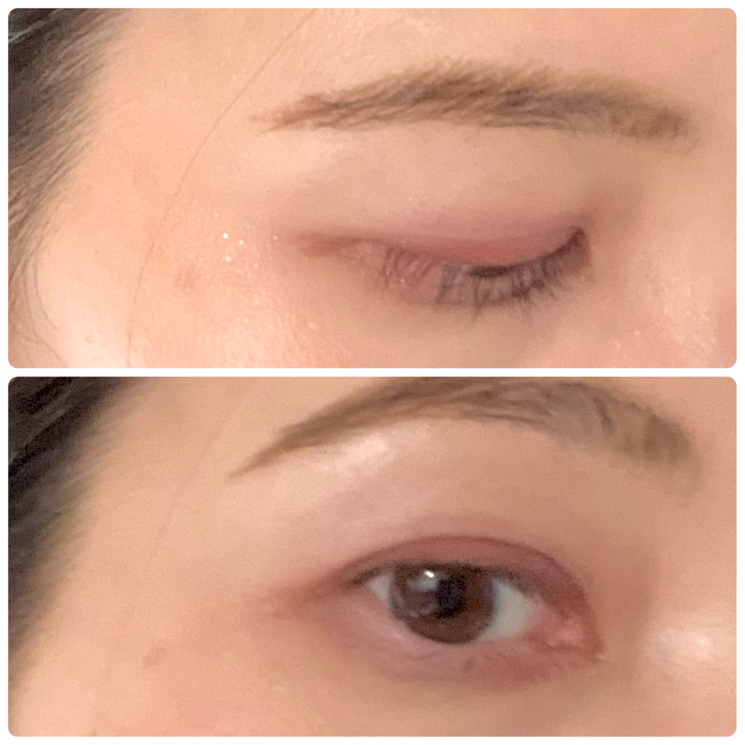 コスメ　化粧品