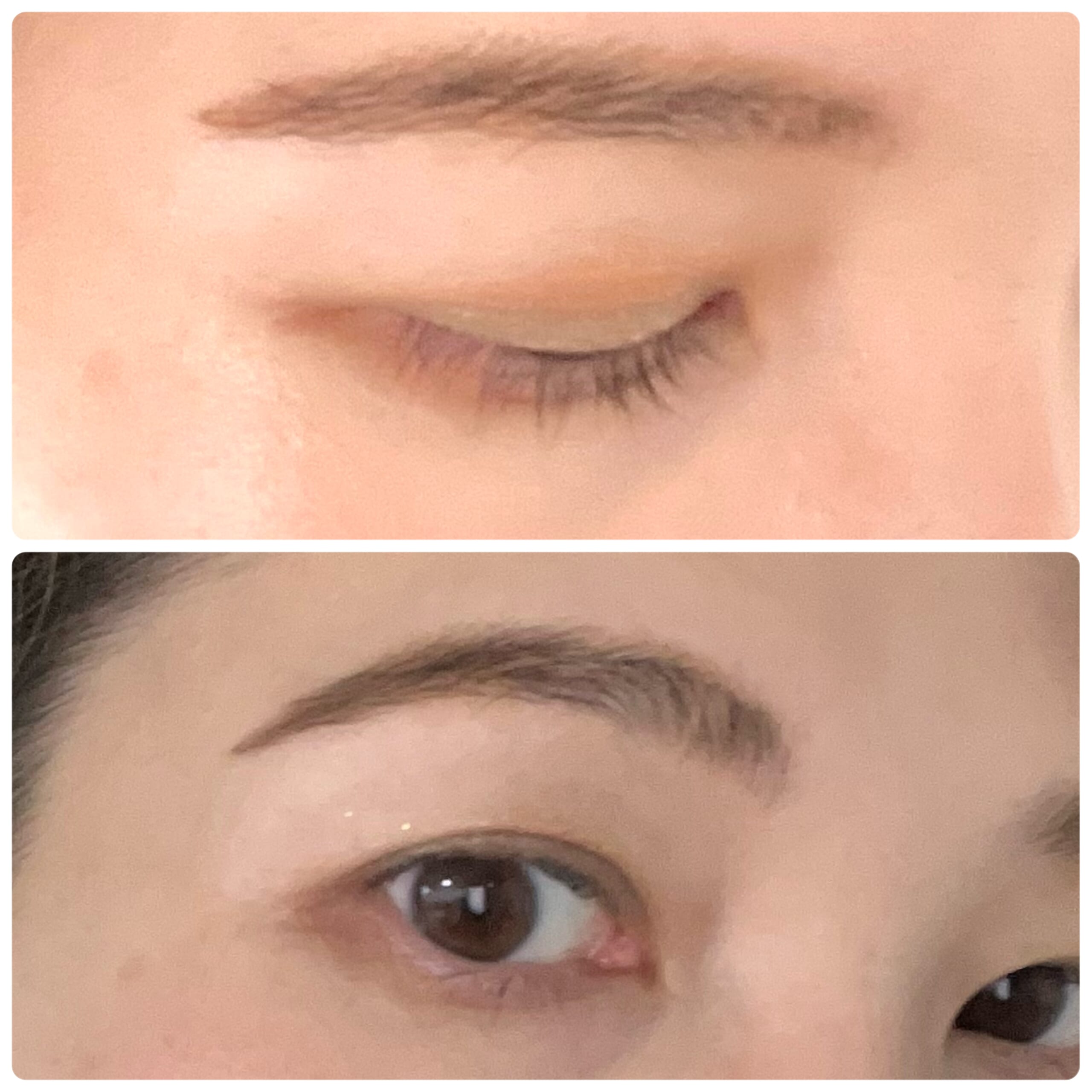 コスメ　化粧品