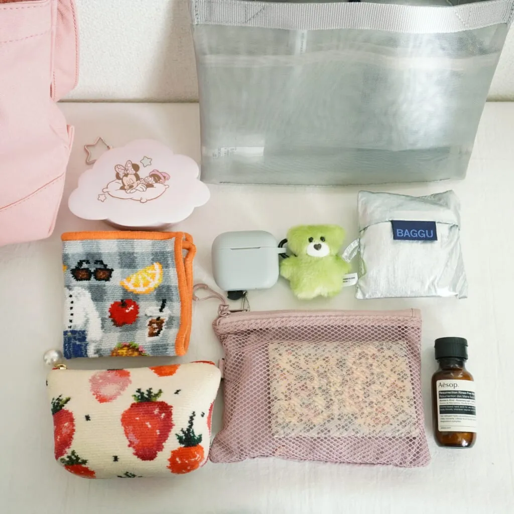 リエさんのバッグの中身