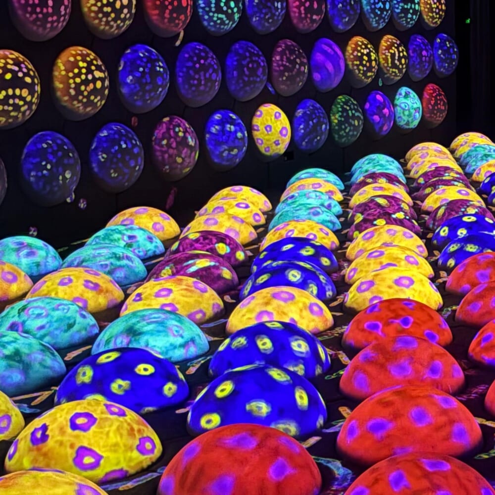 チームラボ バイオヴォルテックス 京都 子連れ