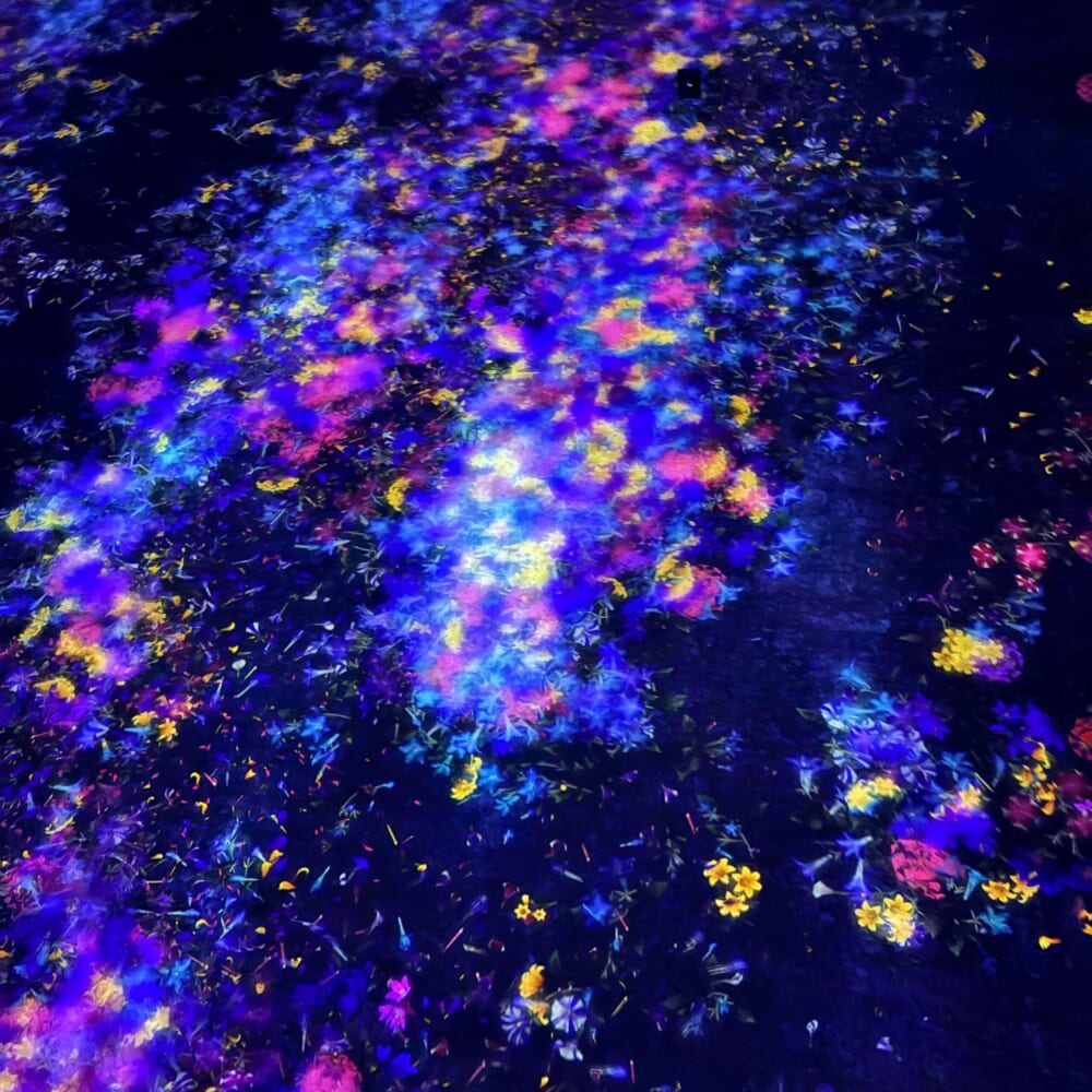 チームラボ バイオヴォルテックス 京都