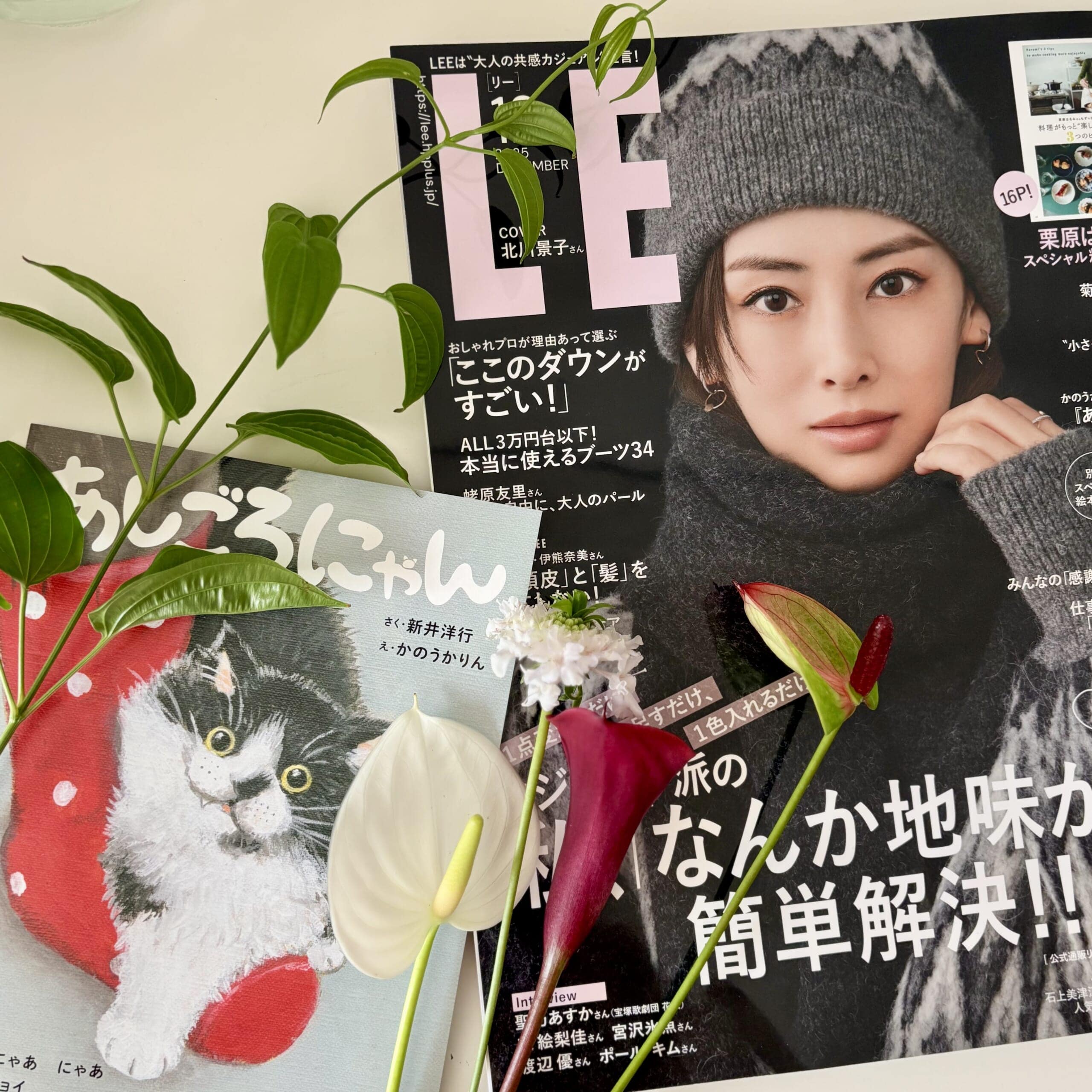 LEE12月号と別冊スペシャル絵本ふろく『あしごろにゃん』
