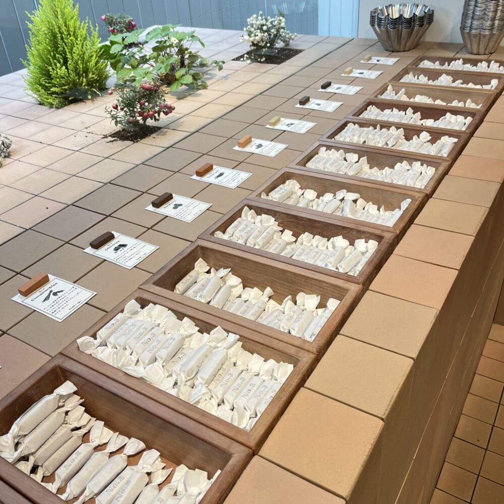 ナンバーシュガー 表参道 手土産