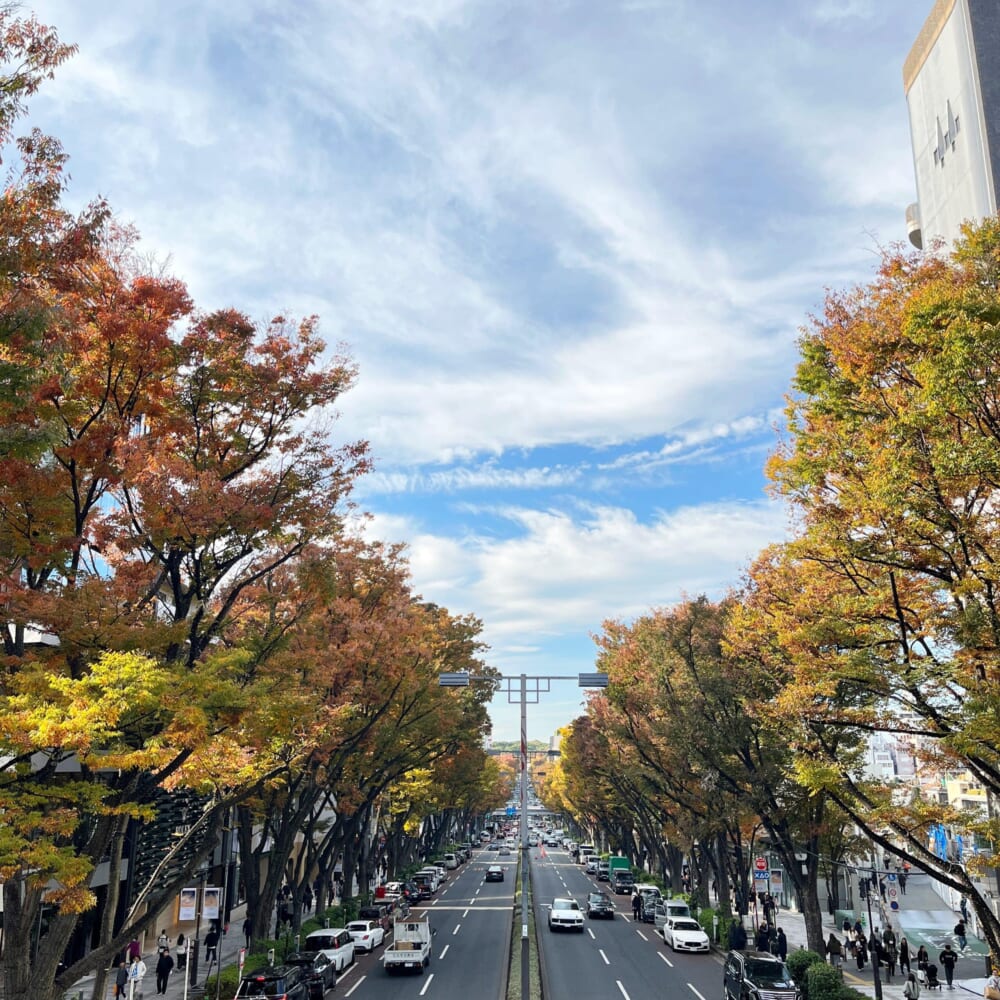 表参道 紅葉 歩道橋