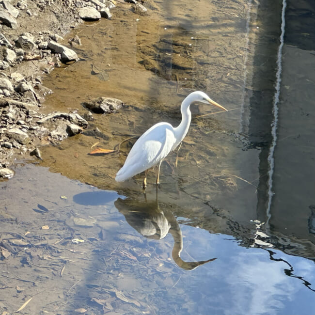 住みやすい街　子育てしやすい街　横浜　