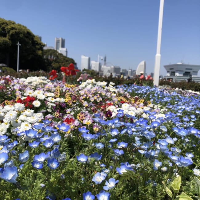 住みやすい街　子育てしやすい街　横浜　