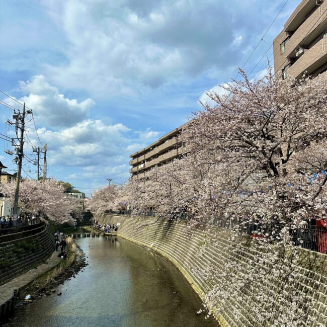 住みやすい街　子育てしやすい街　横浜　