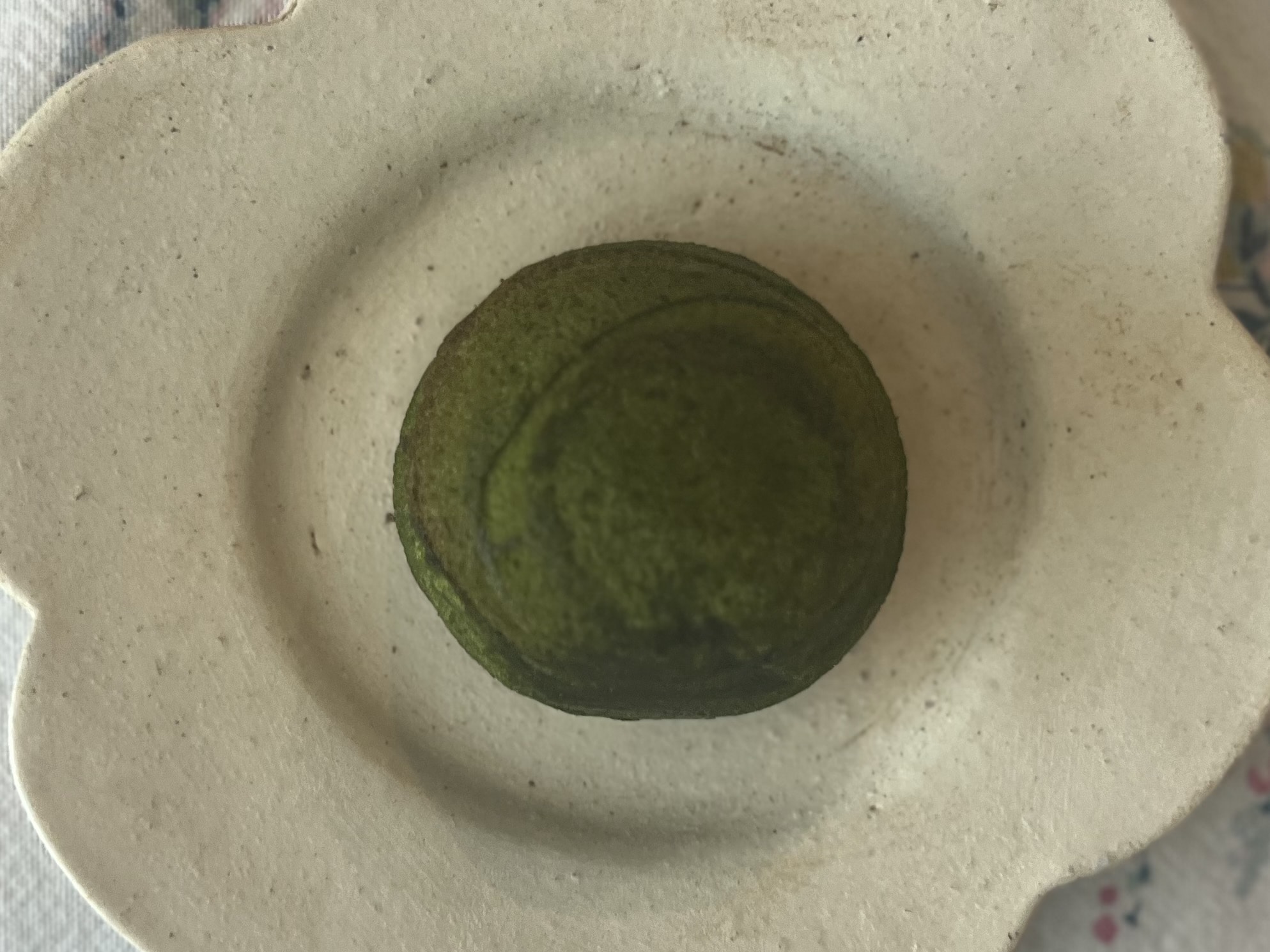 愛され続ける老舗の味「山田屋まんじゅう」を味わう TB icoco