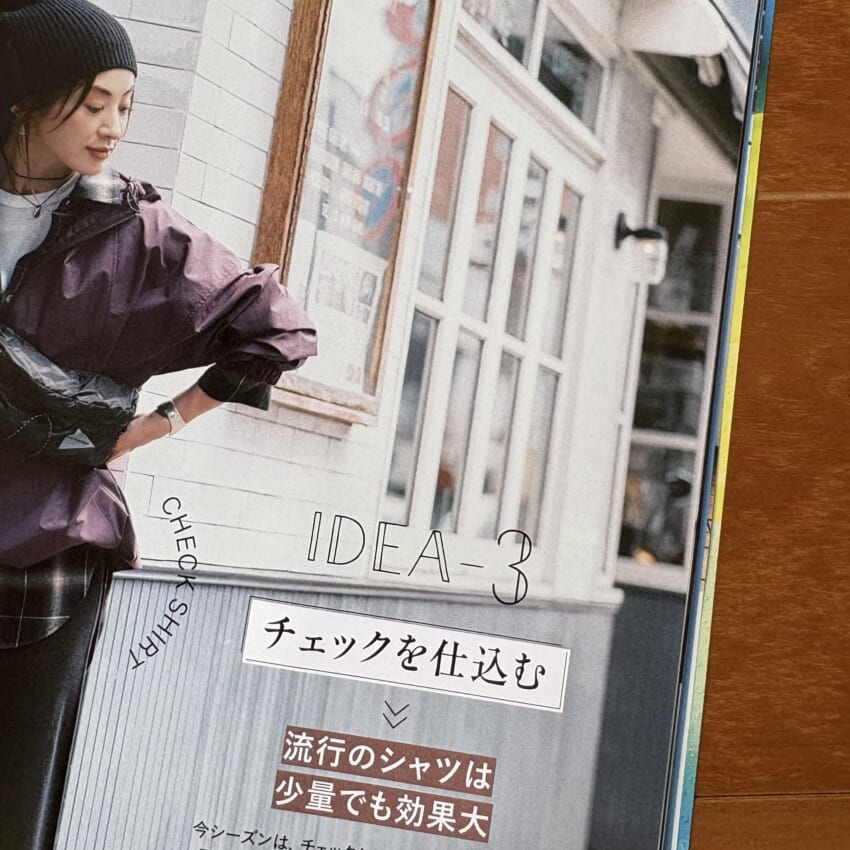 LEE12月号地味問題解決アイデアのひとつに、『チェックを仕込む』のページ