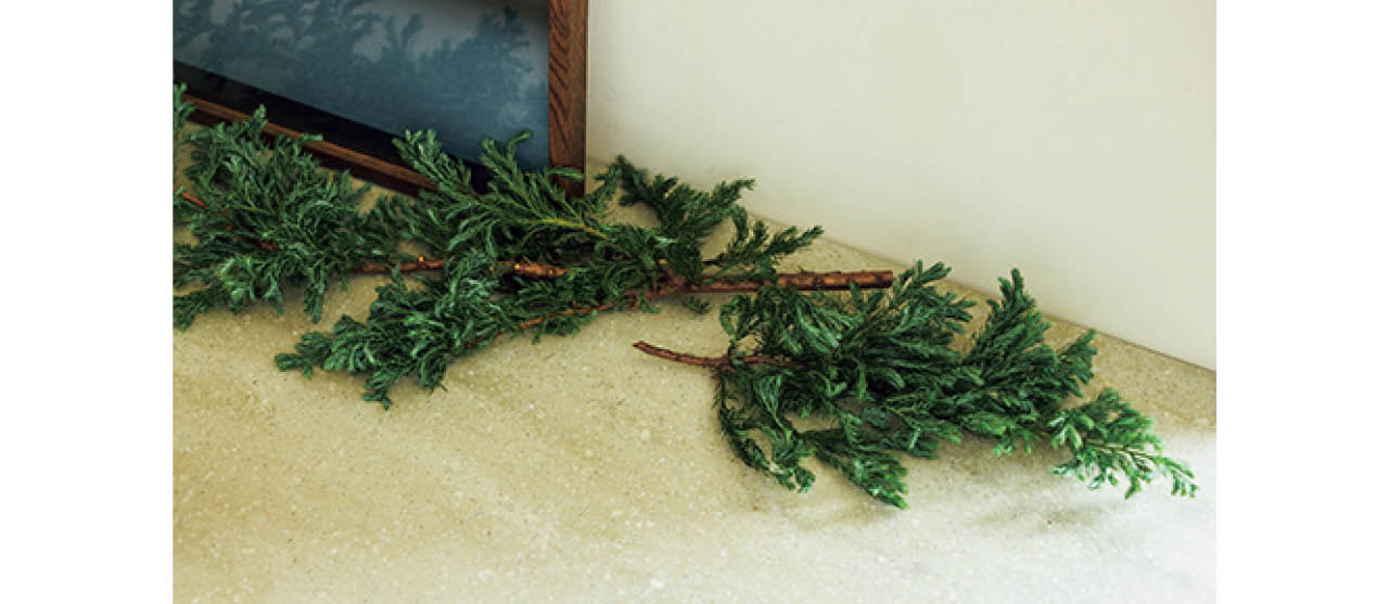 好みの長さにカットしたモミの枝