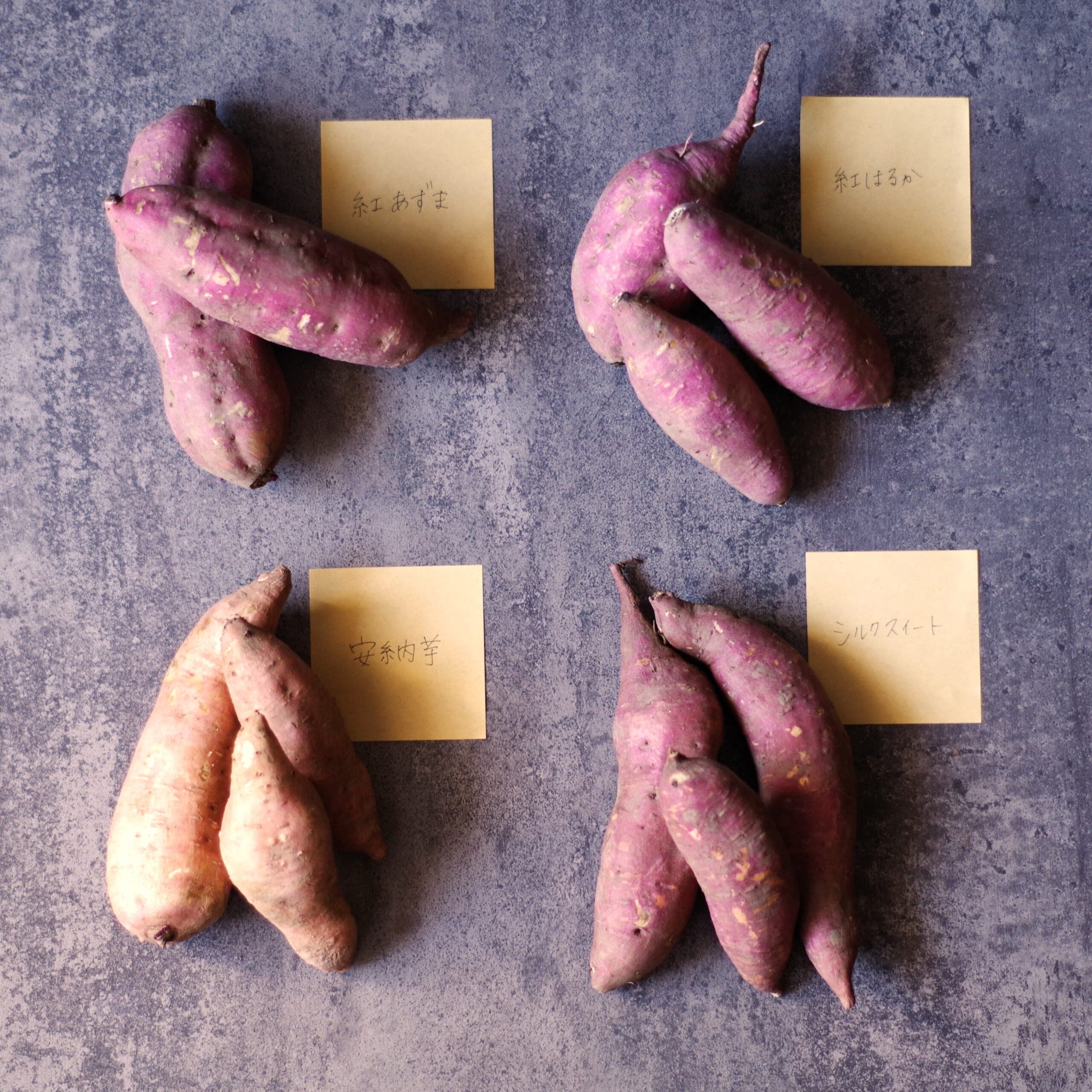 さつまいも 紅あずま、紅はるか、安納芋、シルクスイート
