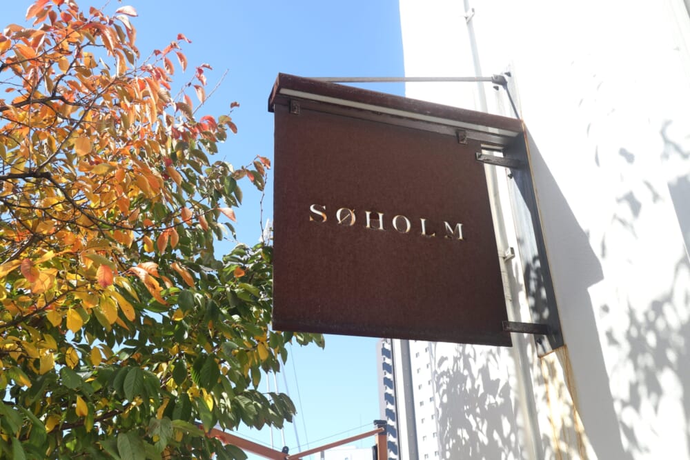 天王洲アイル　100人隊デート　SØHOLM