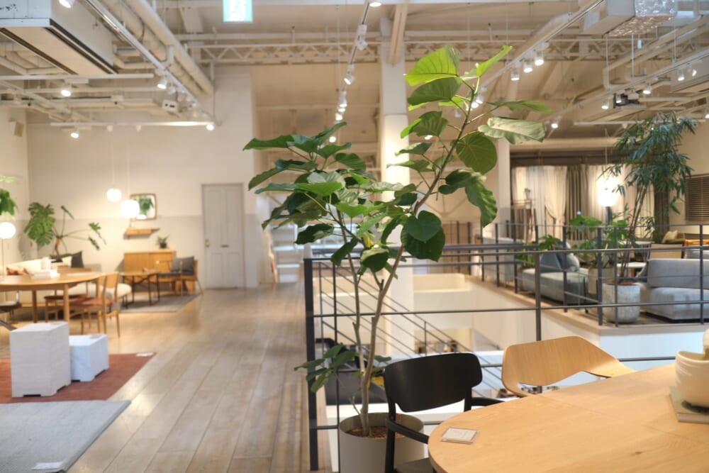 天王洲アイル　100人隊デート　SØHOLM