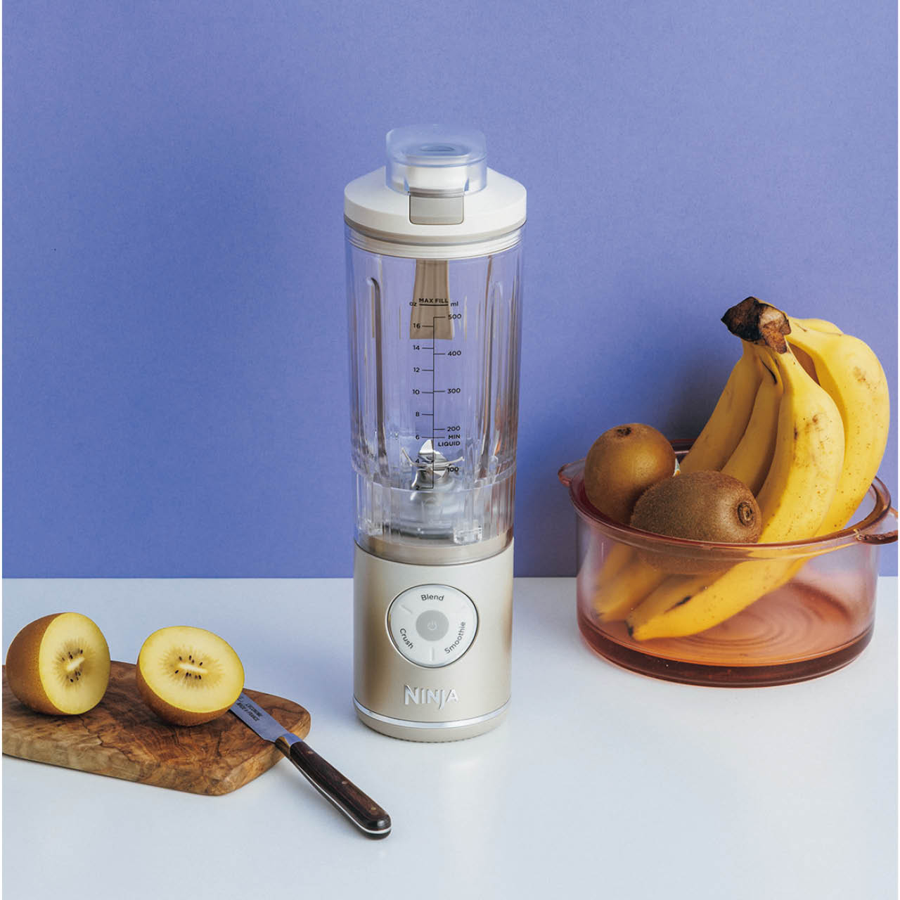 ニンジャ ブラストマックス BC251JIV