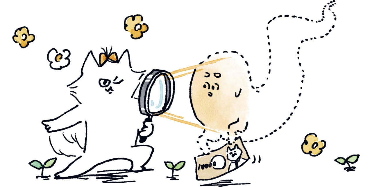 家計管理アプリで支出入を見える化する猫のイラスト