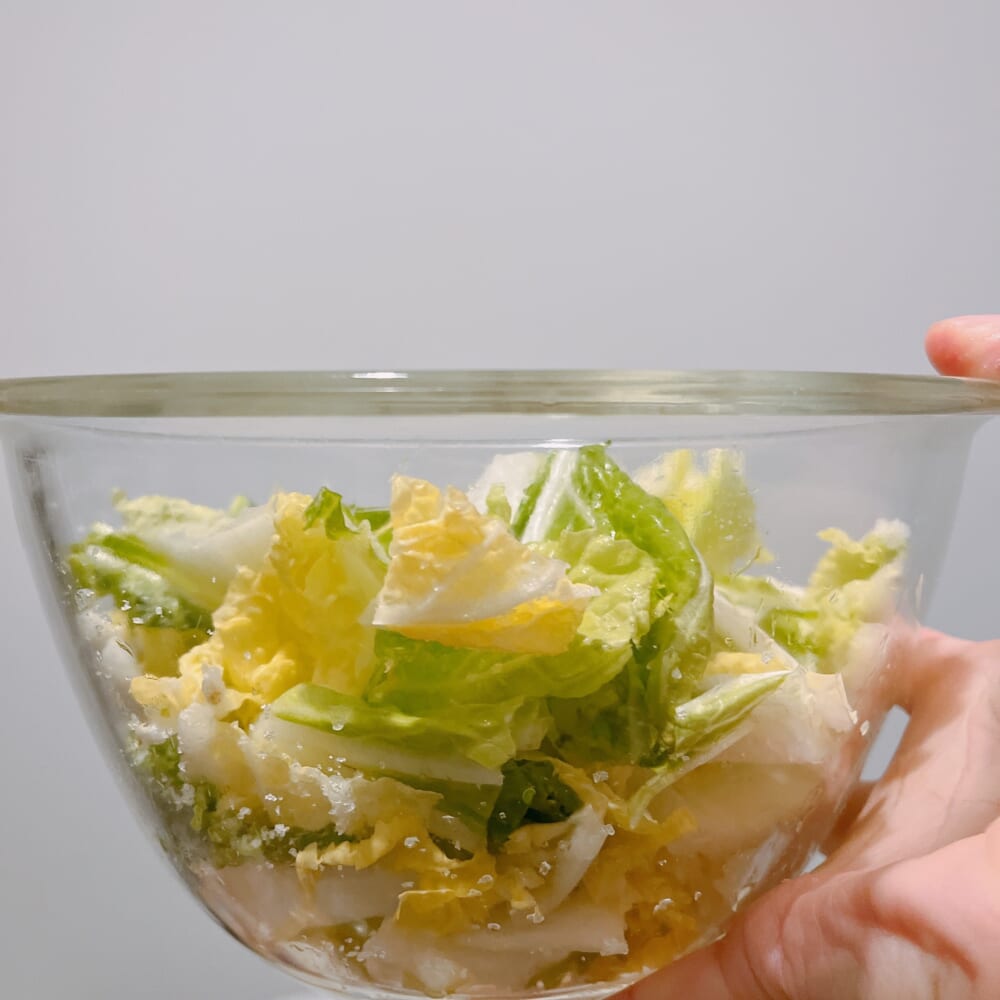 栗原はるみ　LEEレシピ　塩揉み白菜