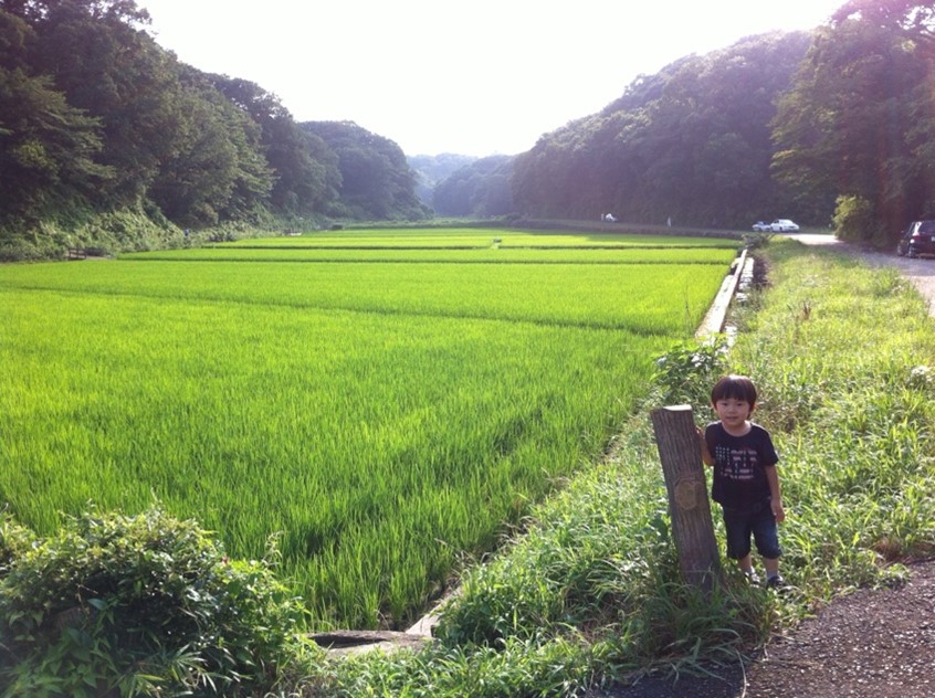 はなさんが撮影した、寺家ふるさと村の写真
