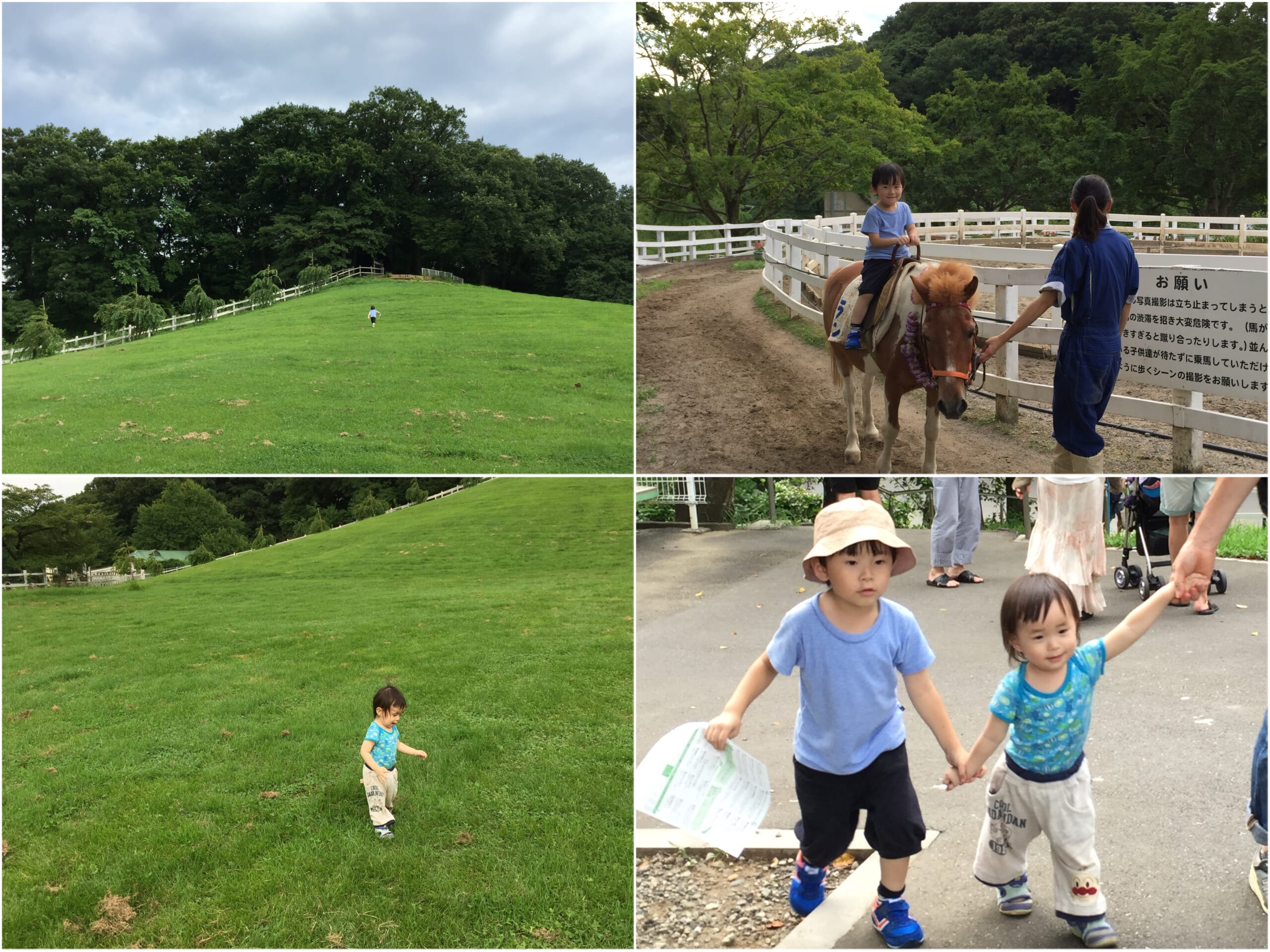 こどもの国でのポニー乗馬体験など