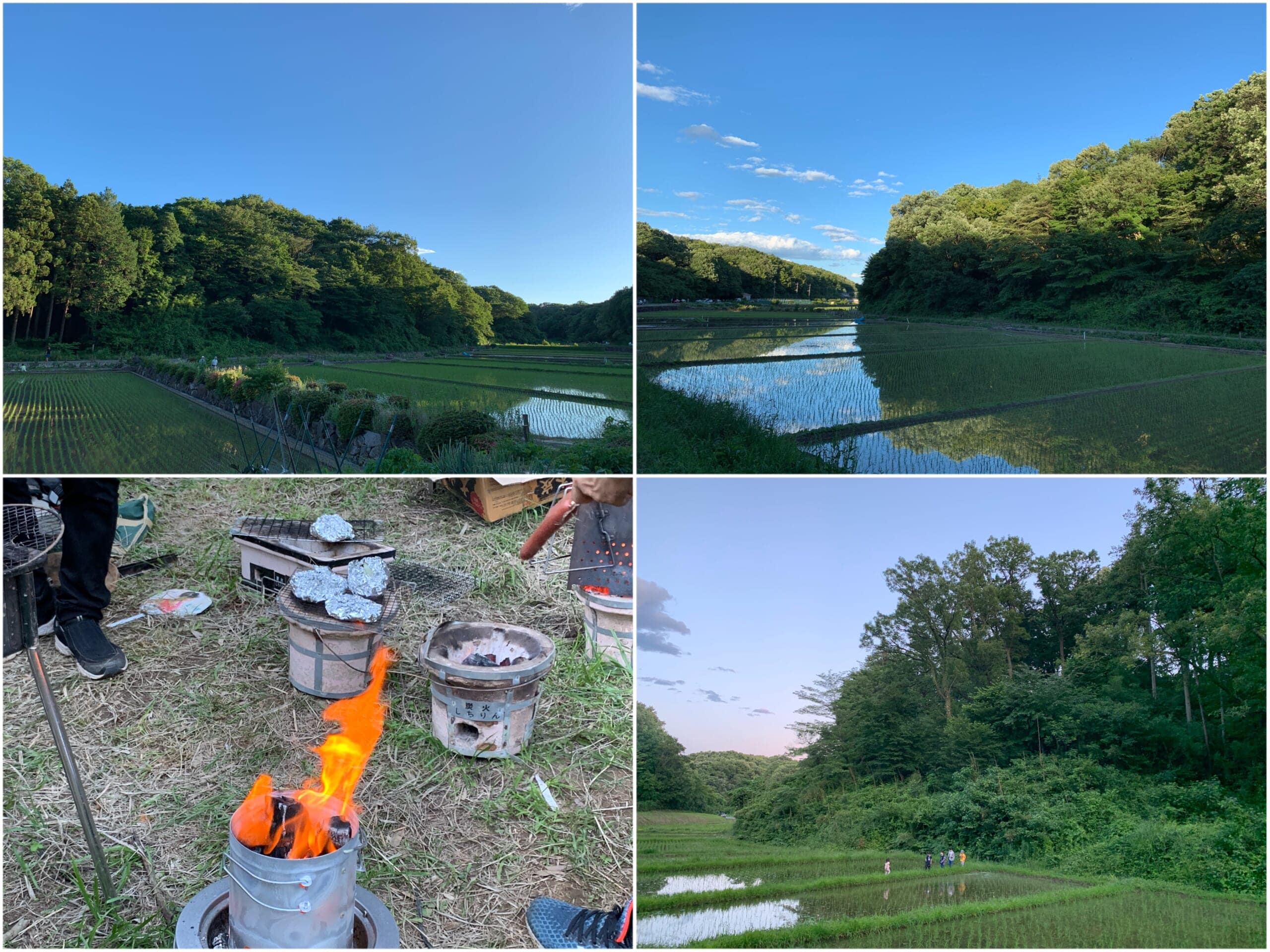 寺家ふるさと村での蛍観賞