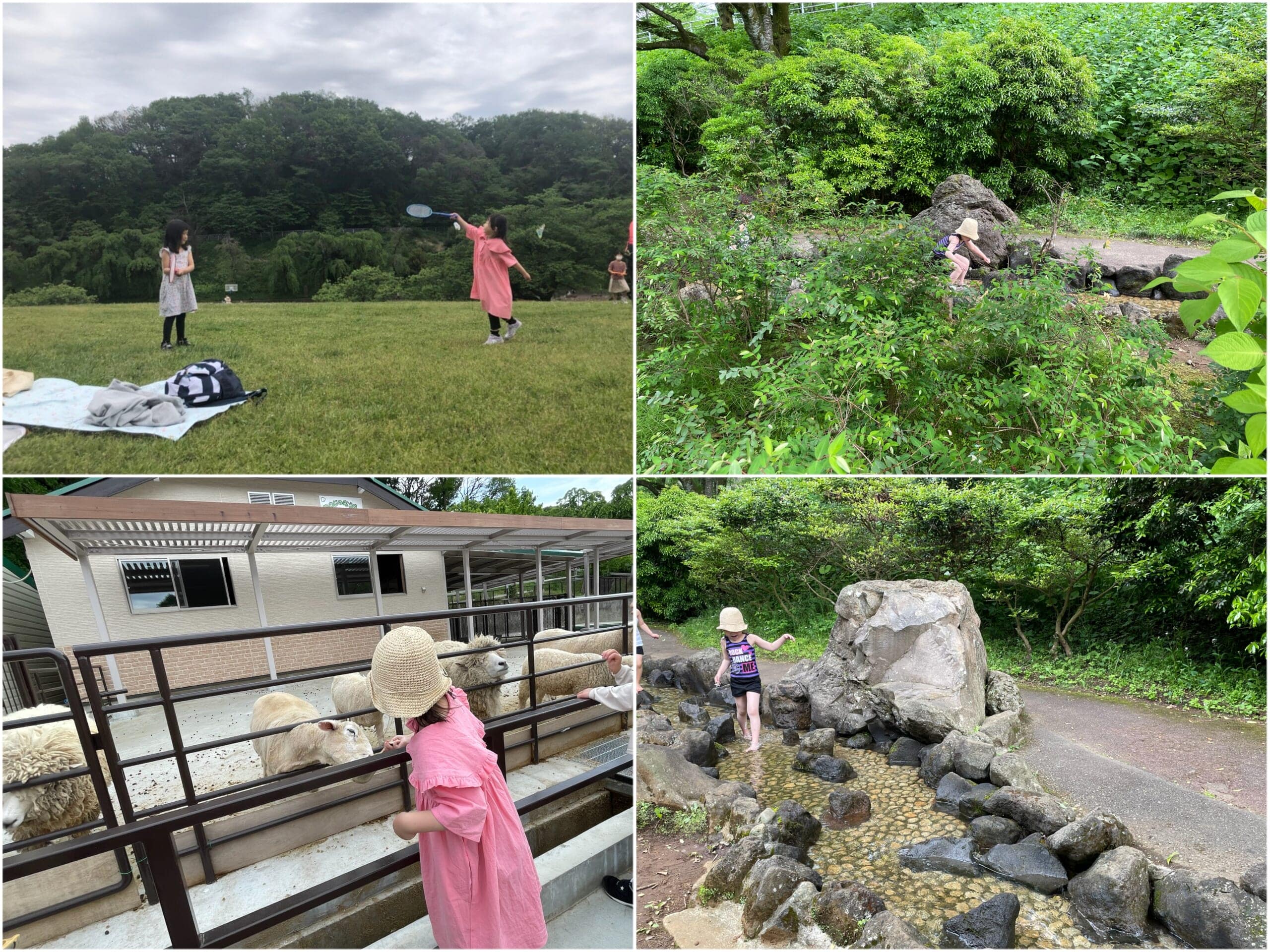 こどもの国写真3