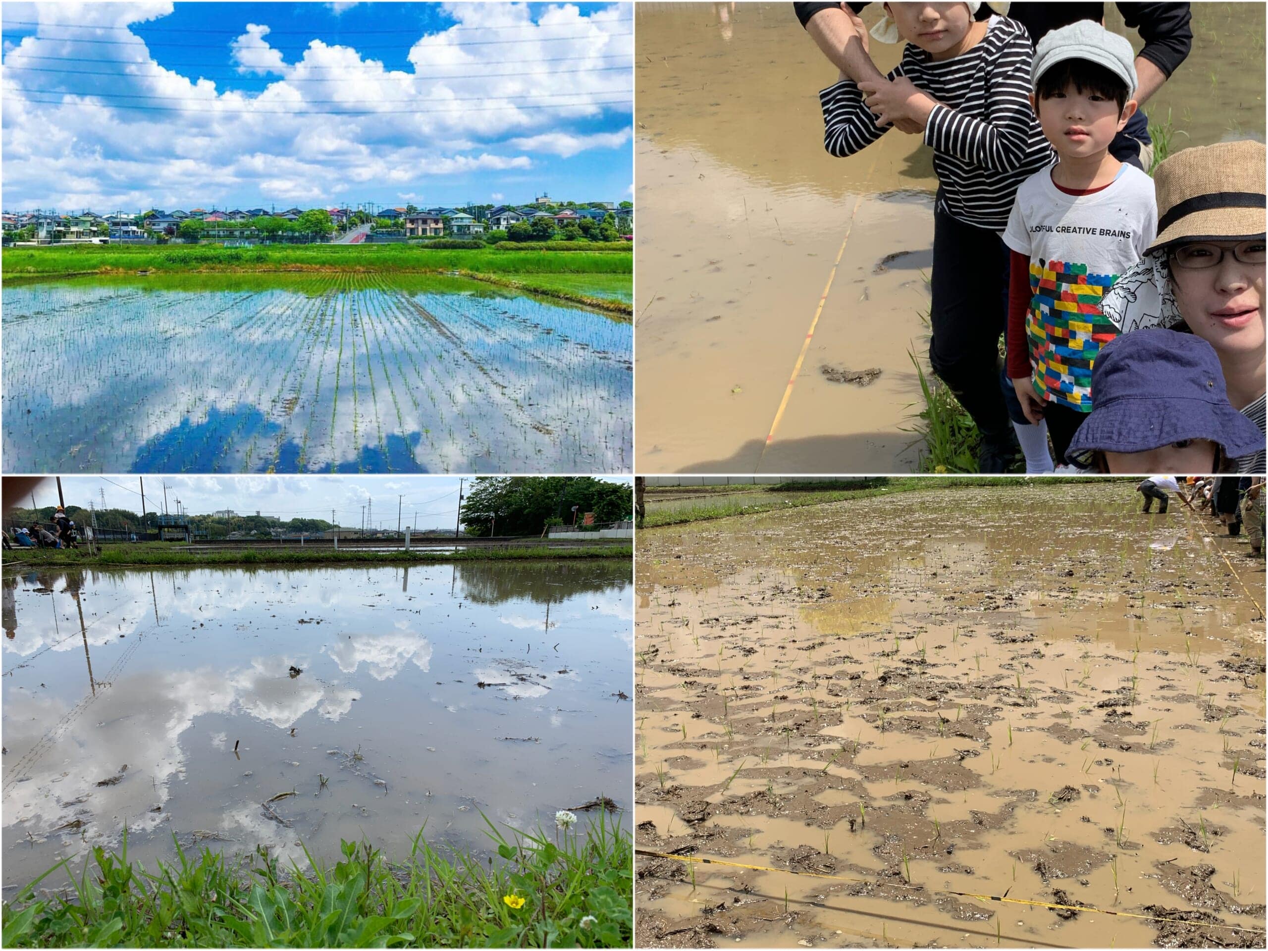 寺家ふるさと村での田植え体験