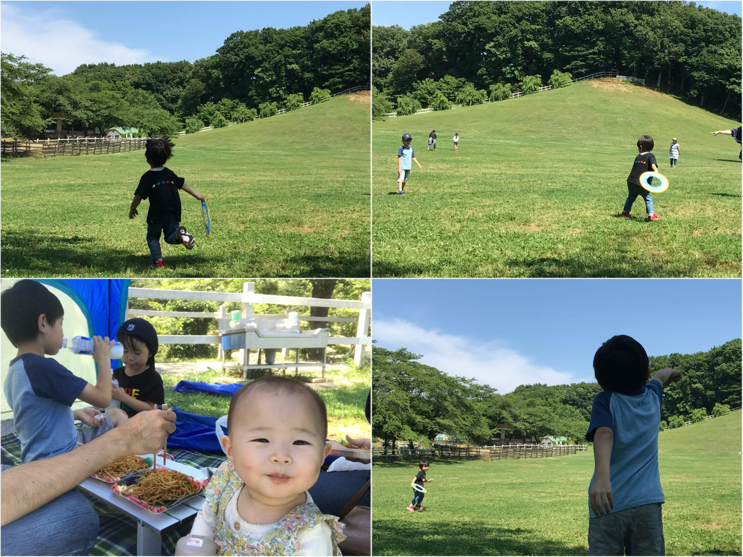 こどもの国でテントを張ってピクニック、野原でフリスビー