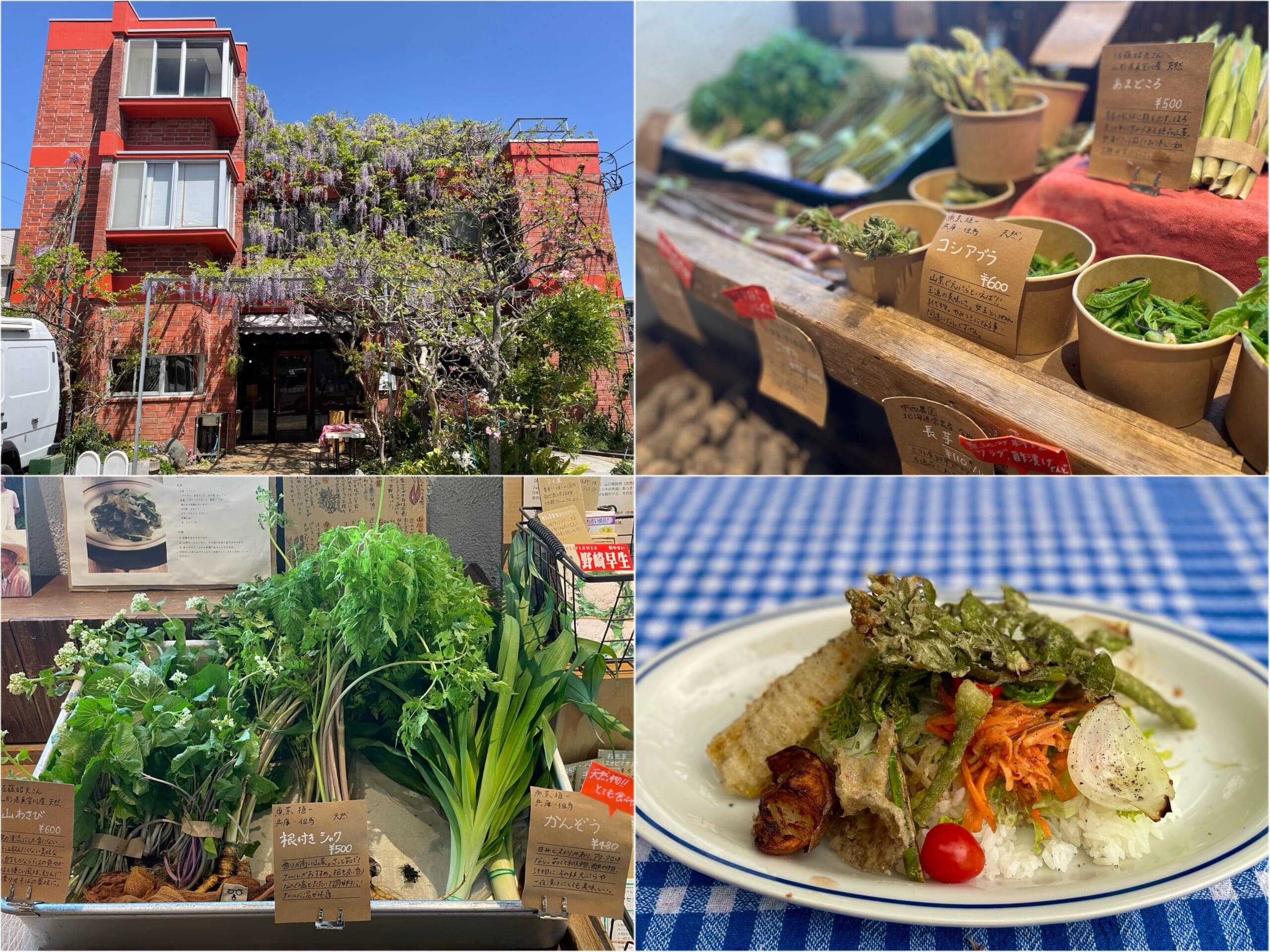 青果ミコト屋さんの野菜とまかないランチ